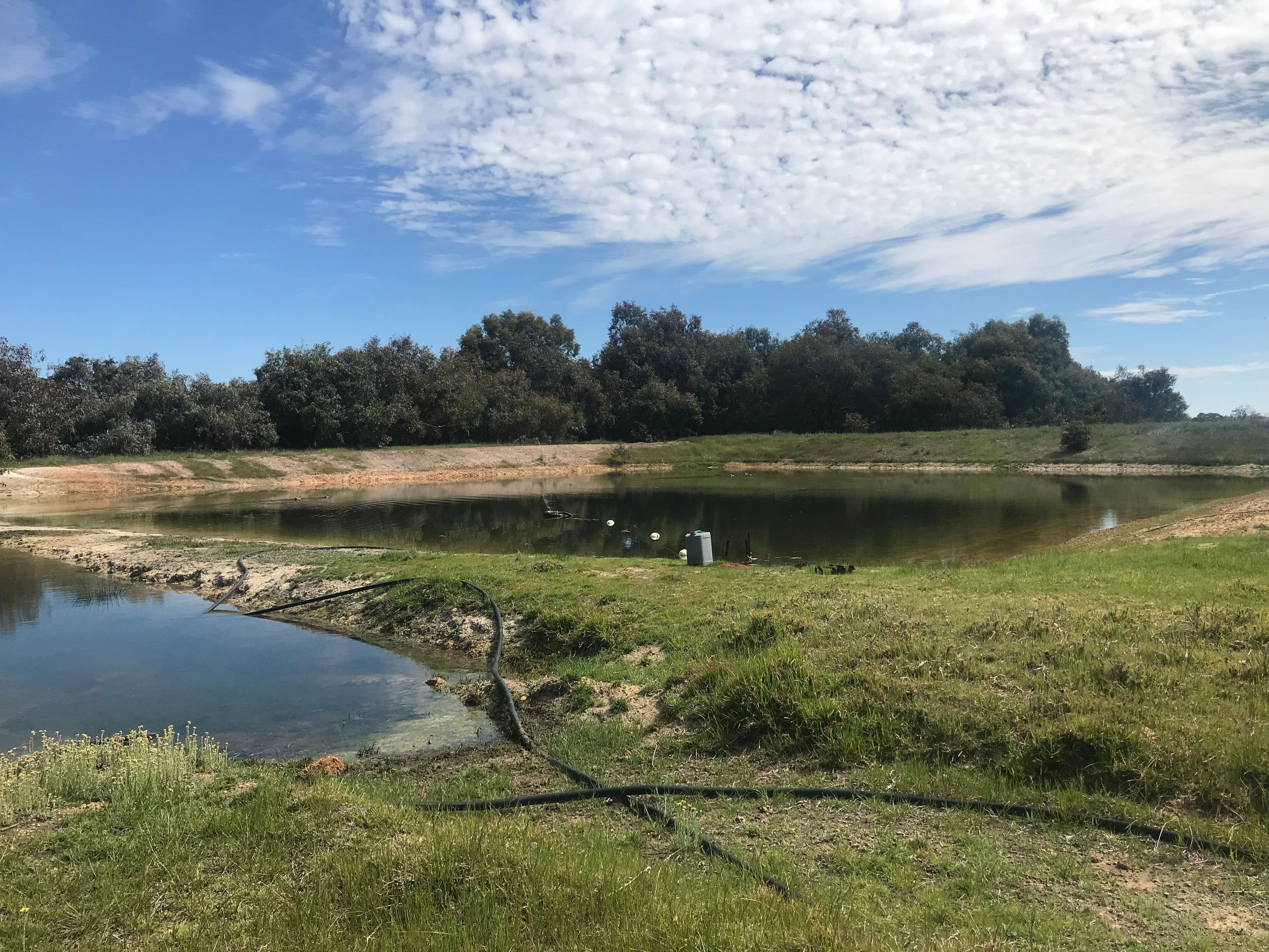550 Inkpen Road, Copley WA 6562, Copley - Thumbnail 8