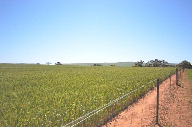 Lots 21-25 94 Sod Hut Road, Farrell Flat SA 5416, Farrell Flat - Thumbnail 2