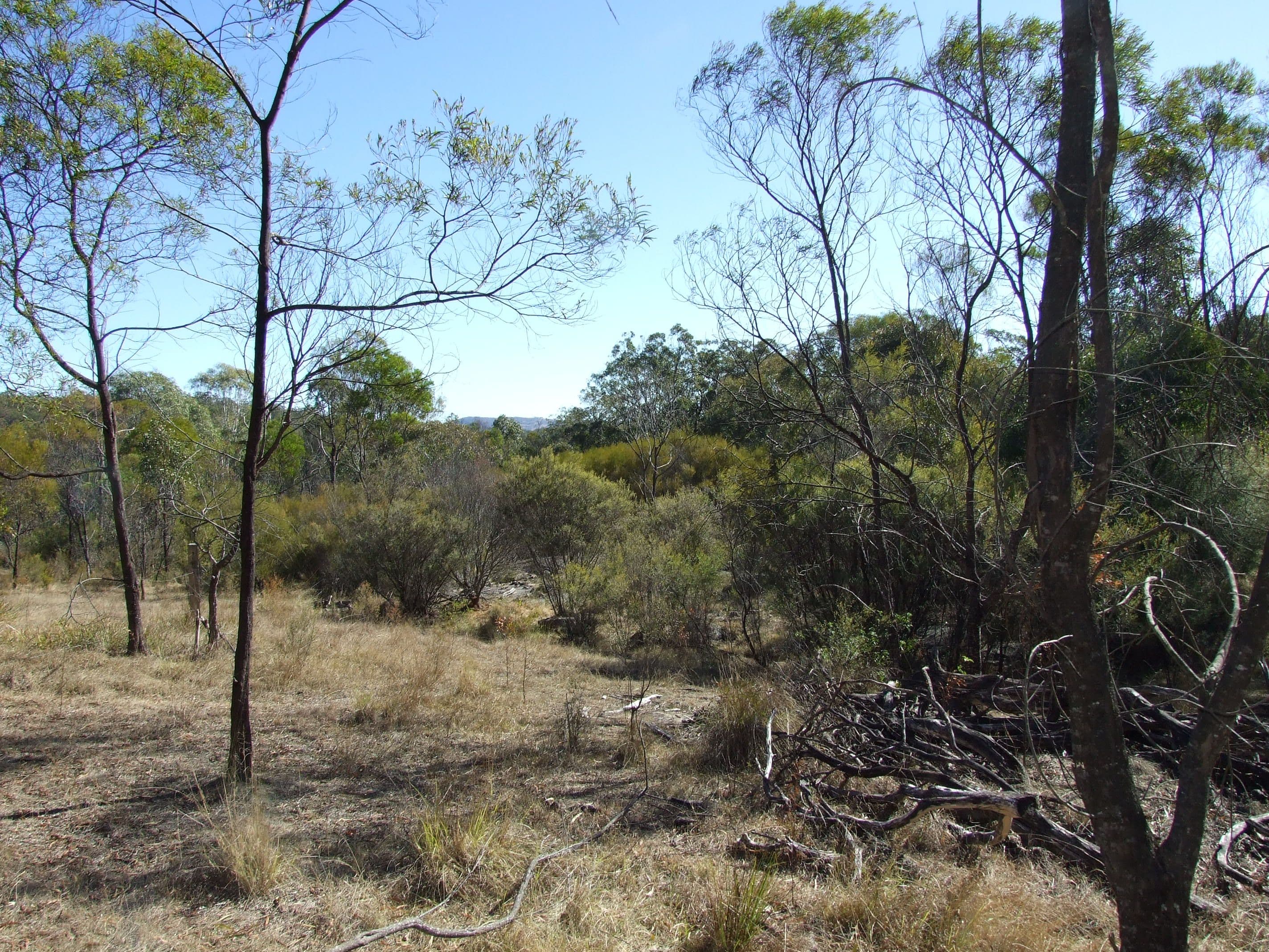 0 Three Mile Road, Crows Nest QLD 4355, Crows Nest - Thumbnail 6