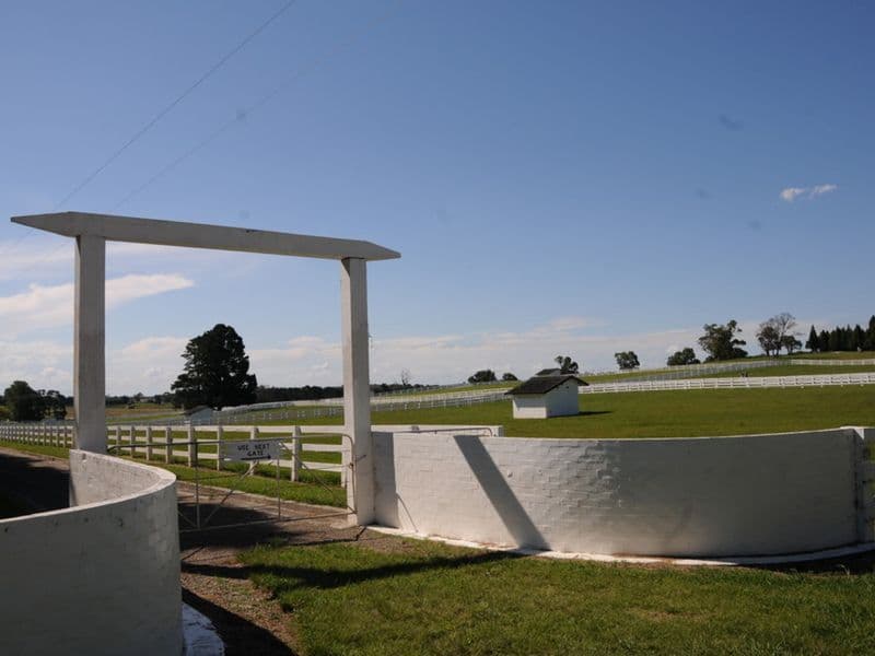 271 Exeter Road, Sutton Forest NSW 2577, Sutton Forest - Thumbnail 7