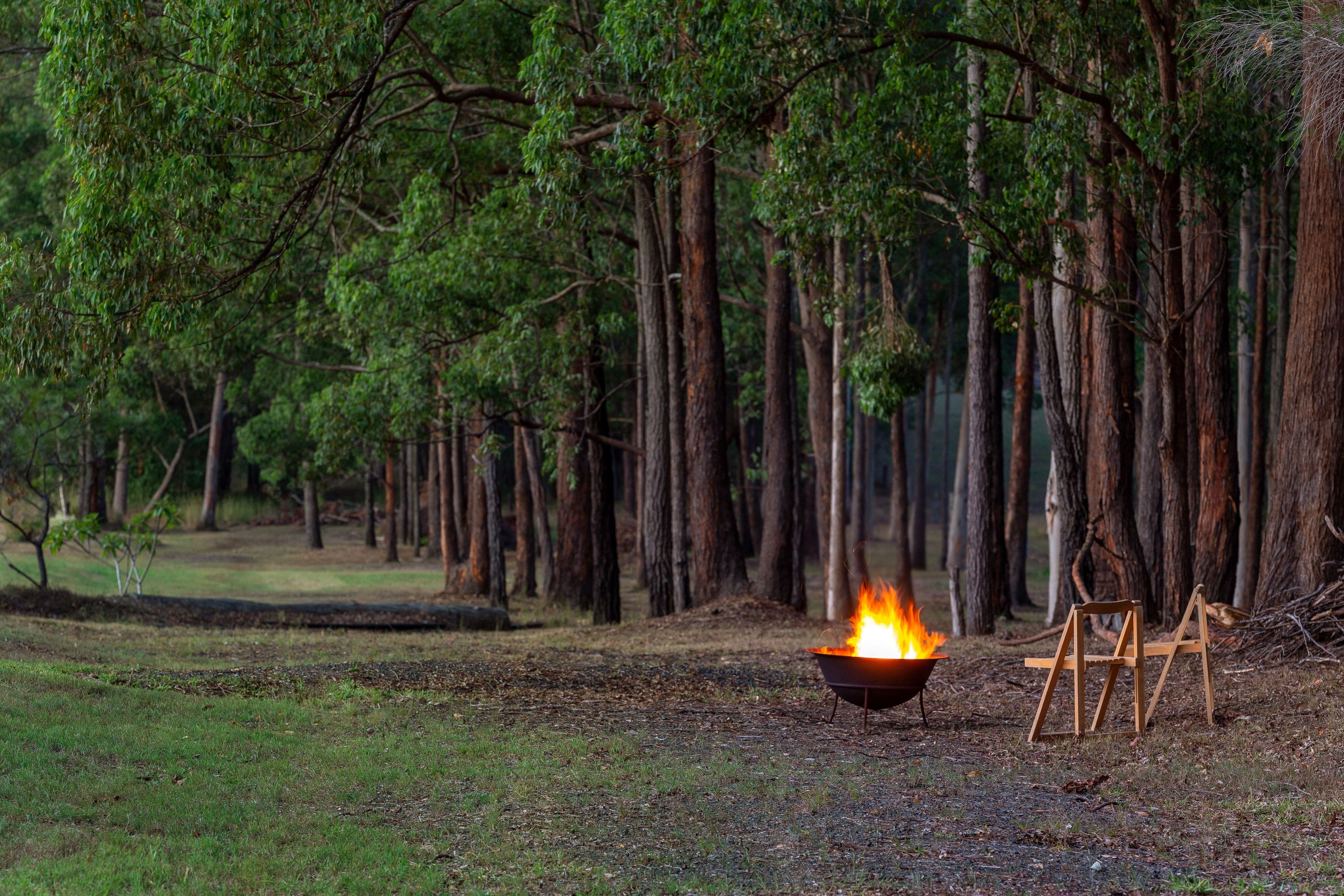 72 Malcolms Road, Pampoolah NSW 2430, Pampoolah - Thumbnail 3