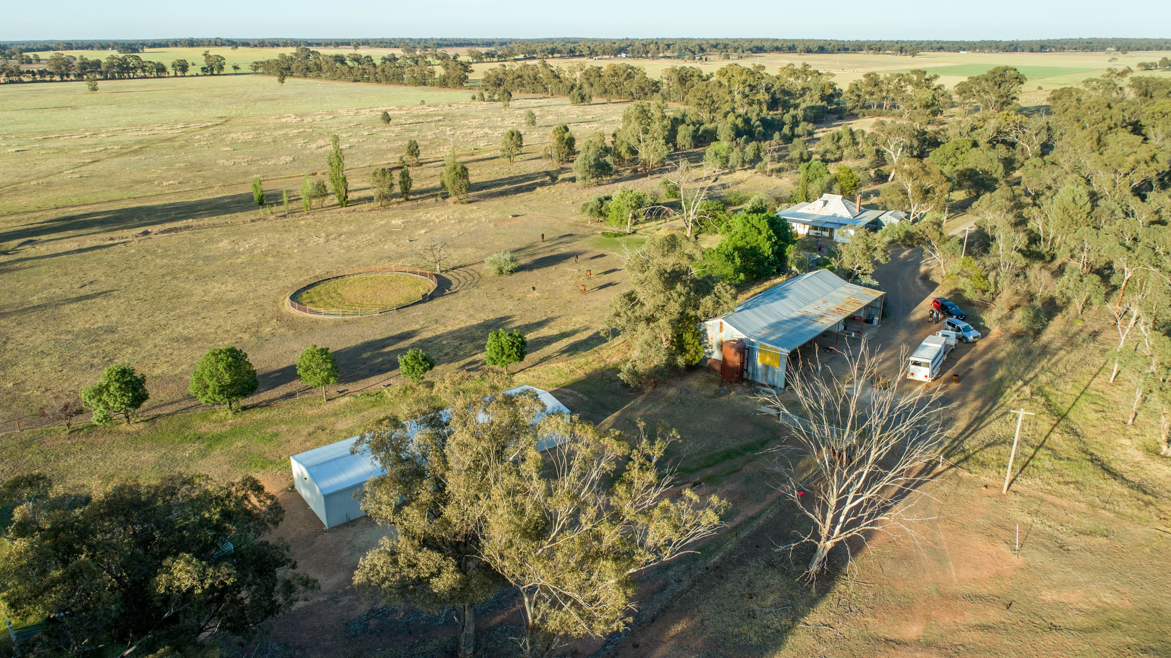 90 Thanowring School Road, Temora NSW 2666, Temora - Thumbnail 6