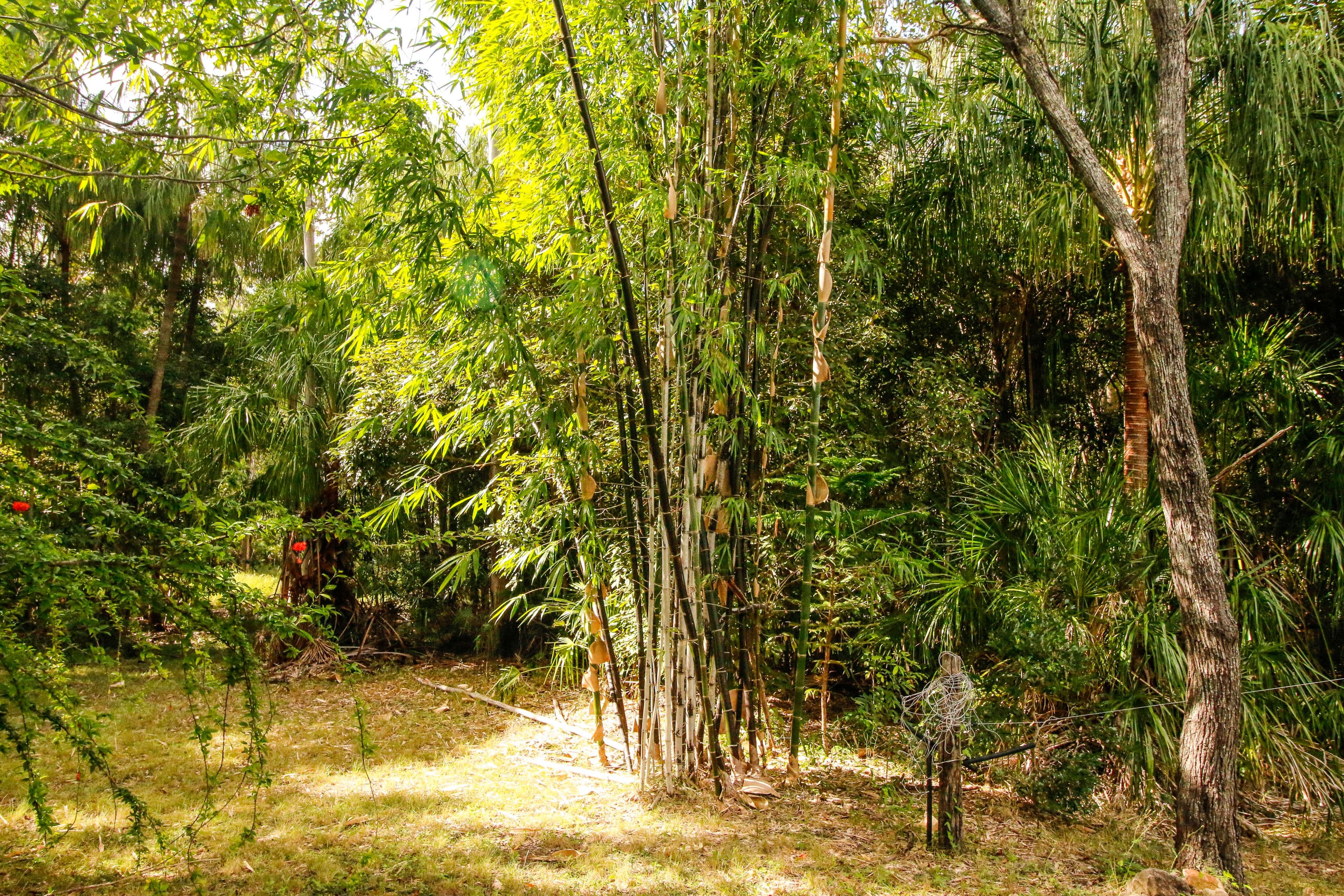 Bororen QLD 4678, Bororen - Thumbnail 5