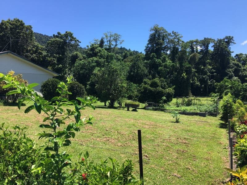 16 Moretto Street, Babinda QLD 4861, Babinda - Thumbnail 3