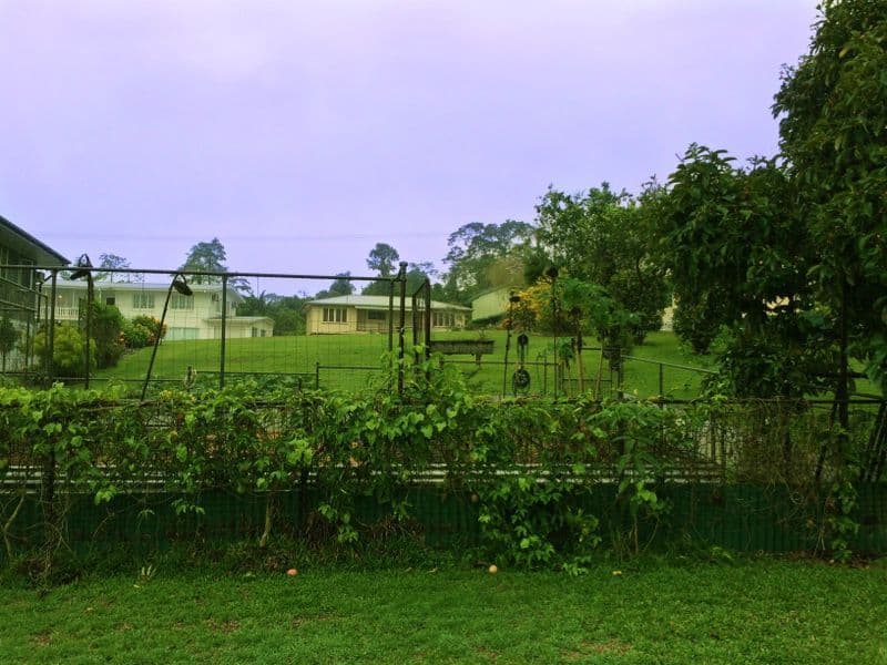 16 Moretto Street, Babinda QLD 4861, Babinda - Thumbnail 5