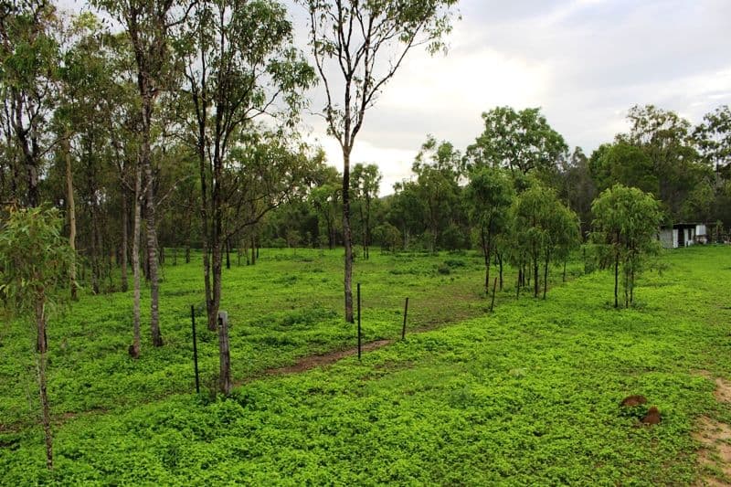 Mareeba QLD 4880, Mareeba - Thumbnail 8