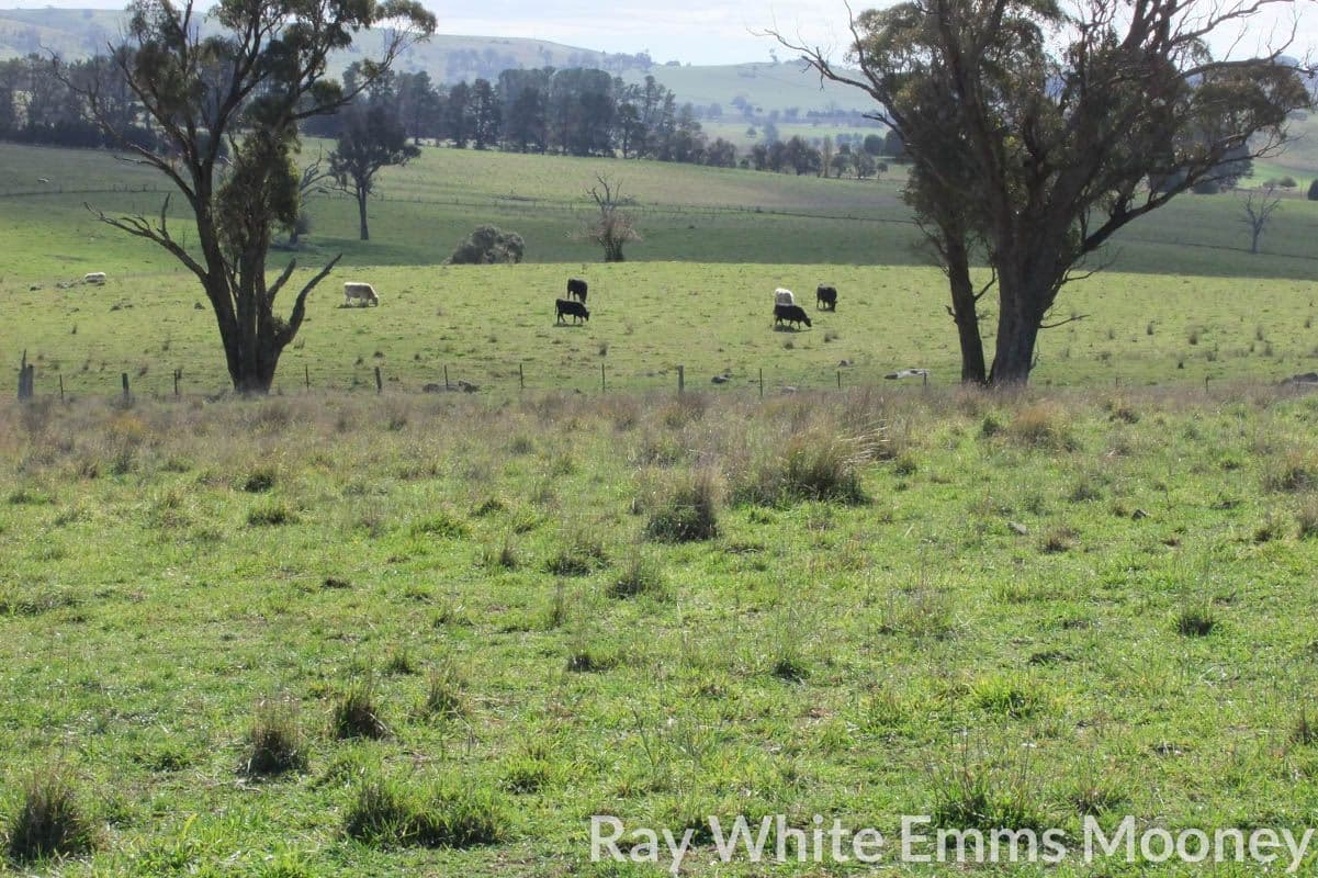 Blayney NSW 2799, Blayney - Thumbnail 4