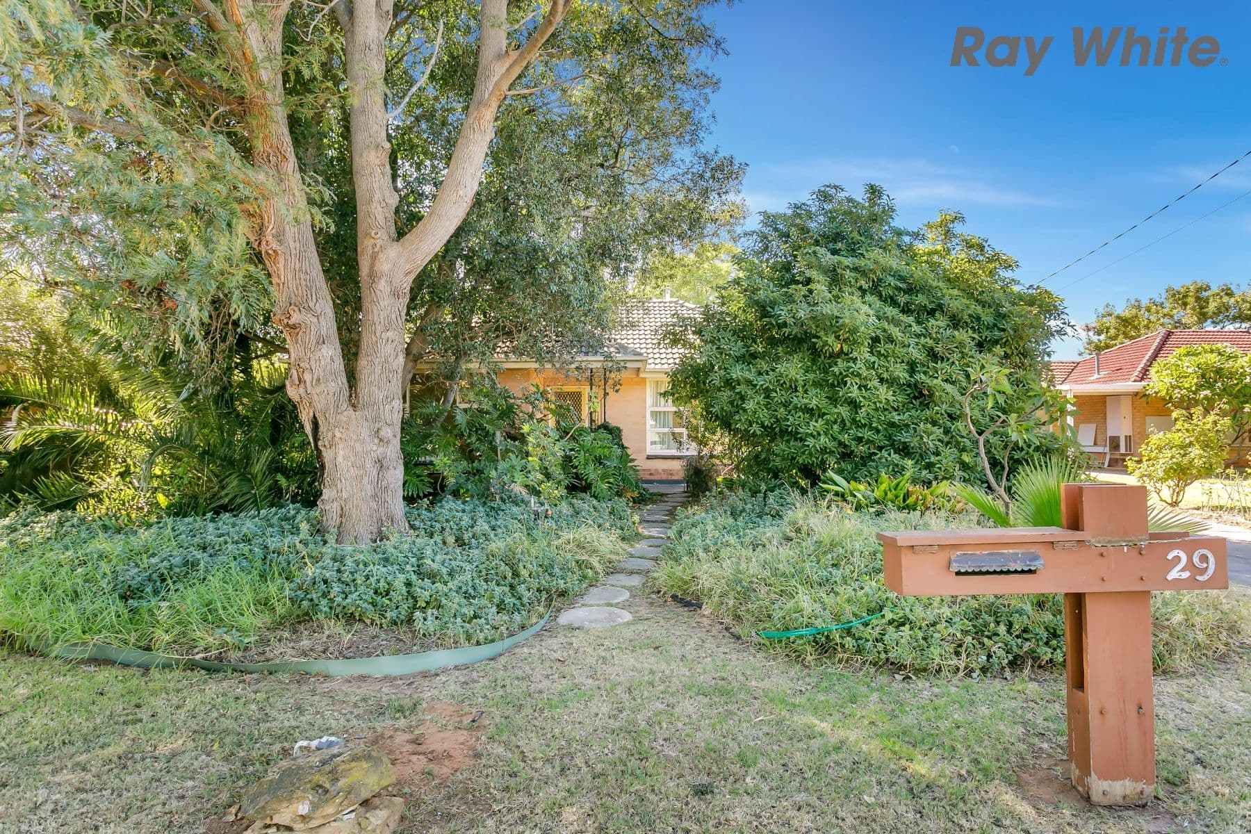 29 Oakleigh Road, Marion SA 5043, Marion - Thumbnail 4