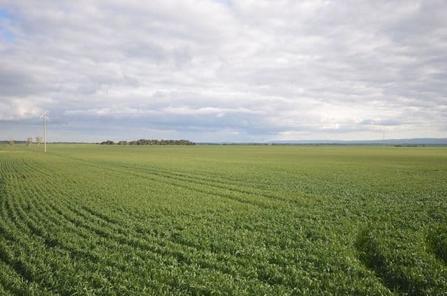 "Welkes" Lake View Road, Brinkworth SA 5464, Brinkworth - Thumbnail 6
