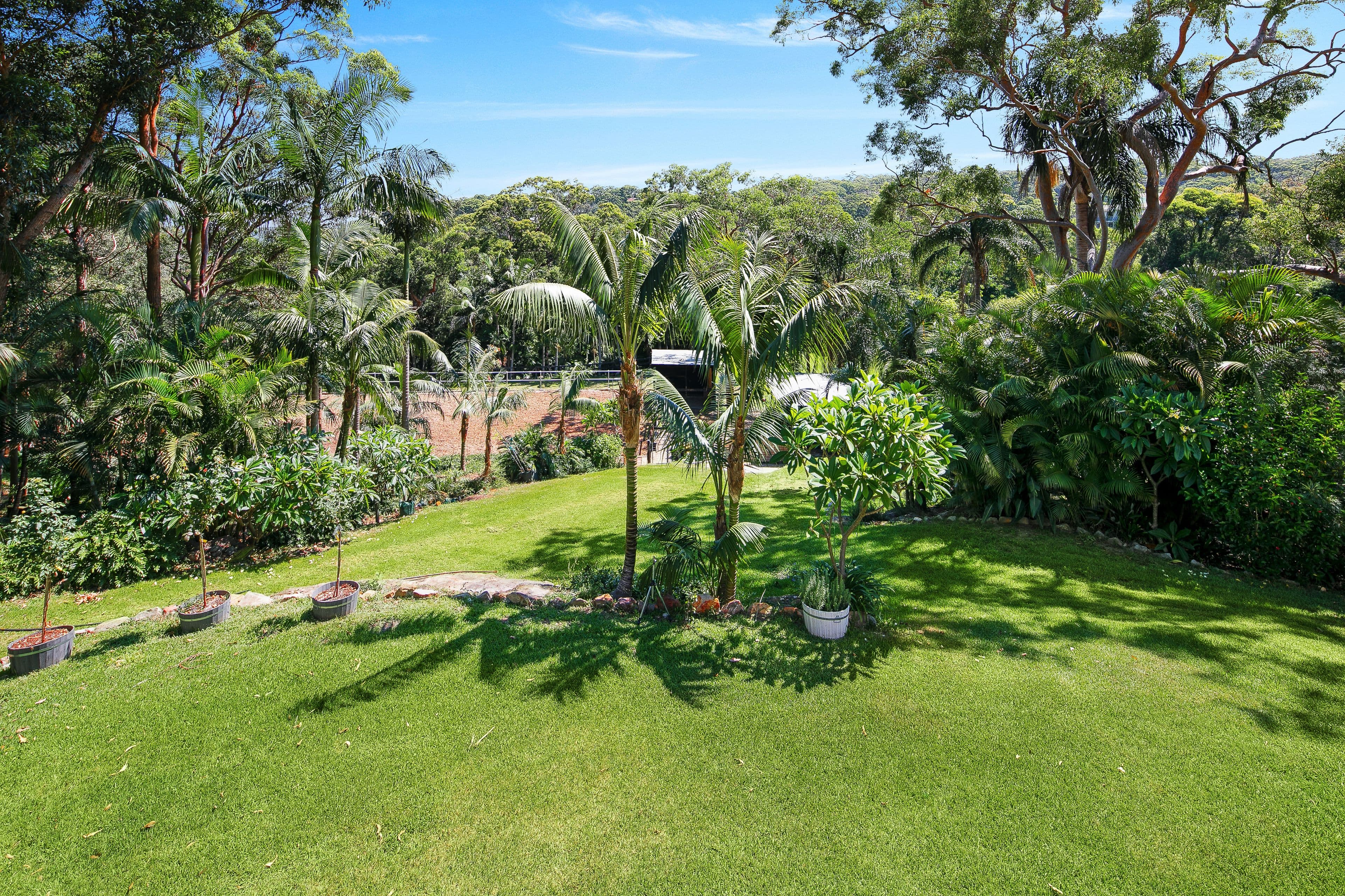17 Lentara Road, Bayview - Thumbnail 5