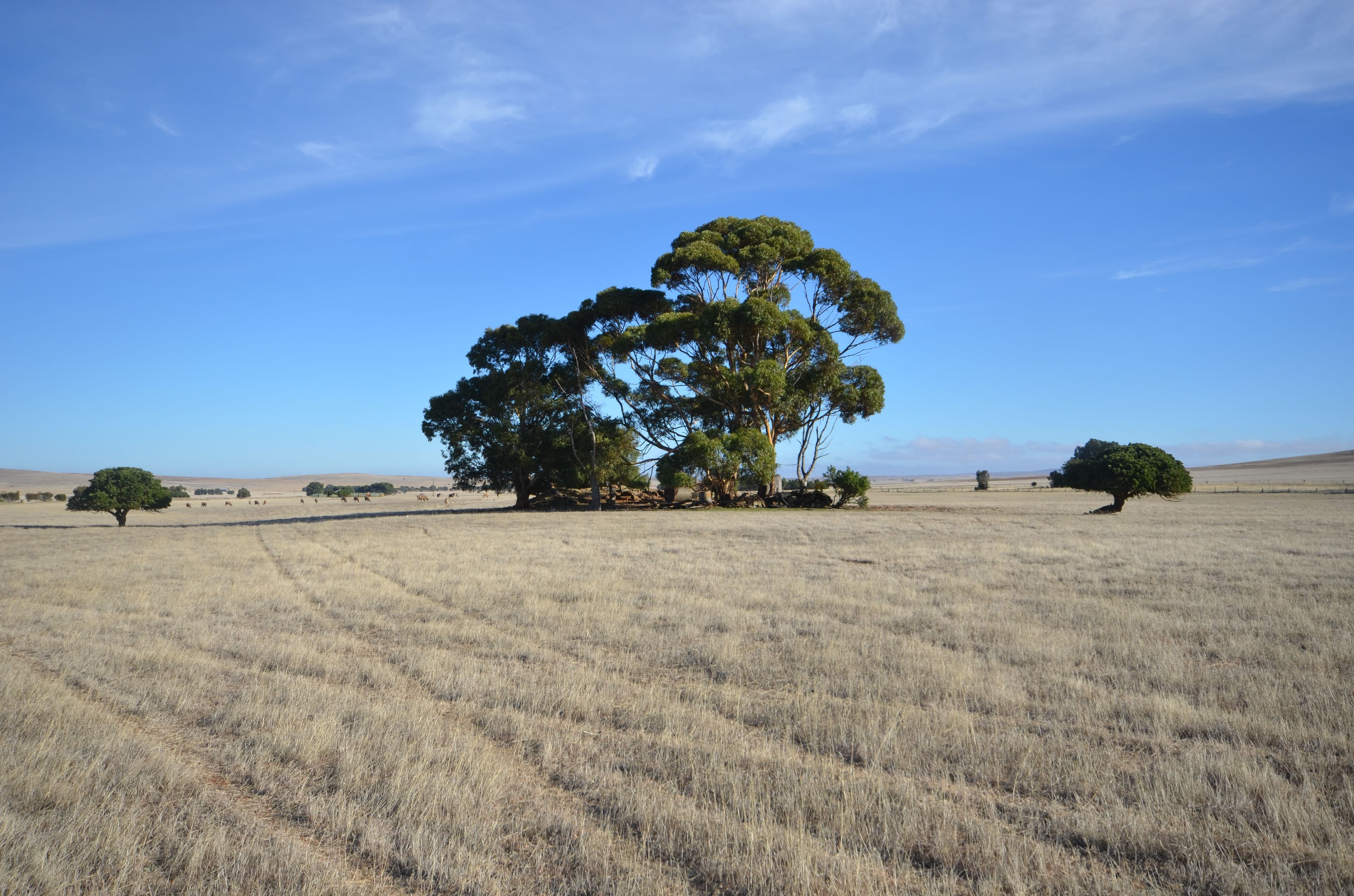 "Hill View" Barrier Highway, Hallett SA 5419, Hallett - Image 1