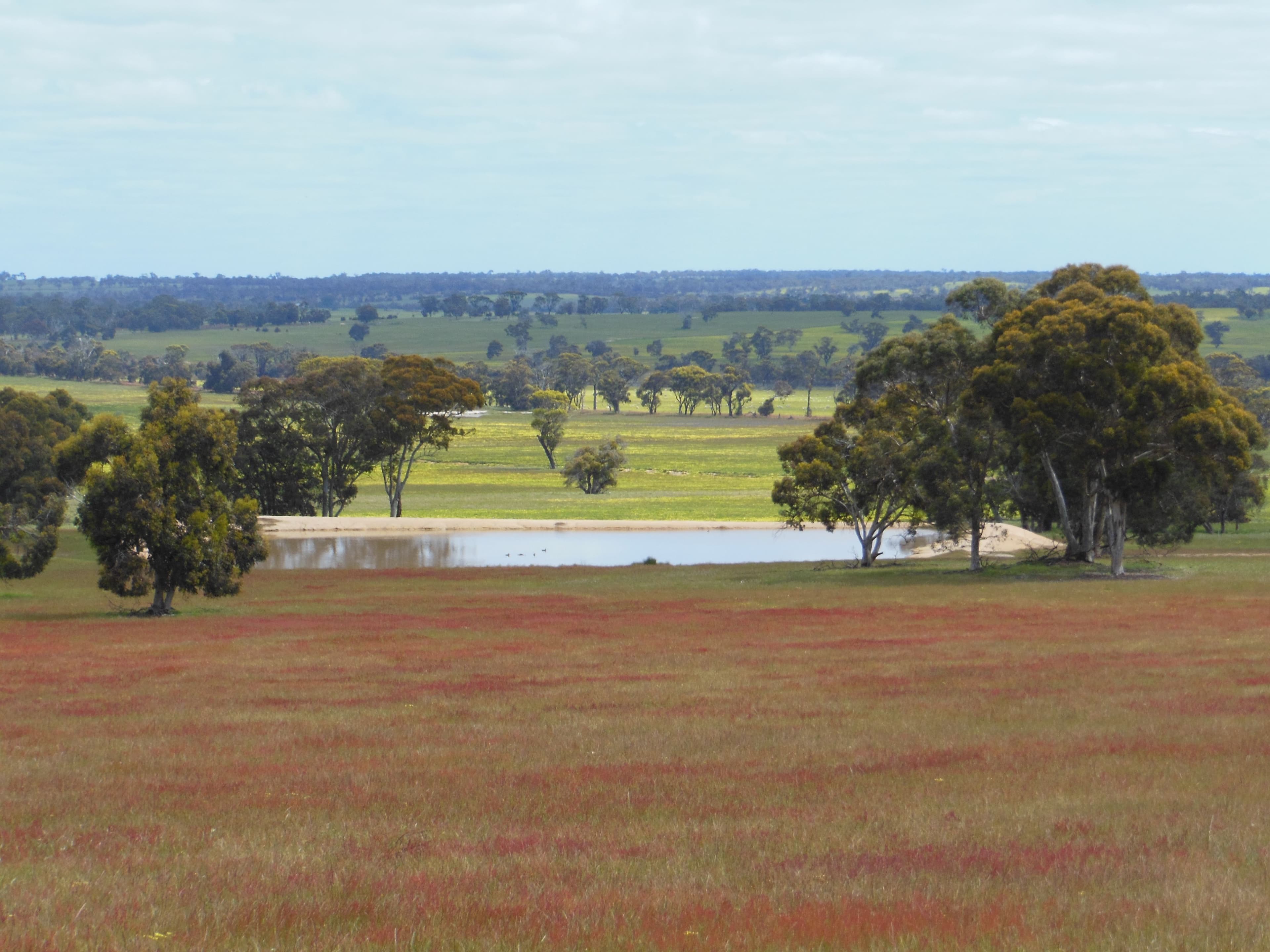 Sukey Hill, 98 Barytes Road, Cranbrook WA 6321, Cranbrook - Thumbnail 4