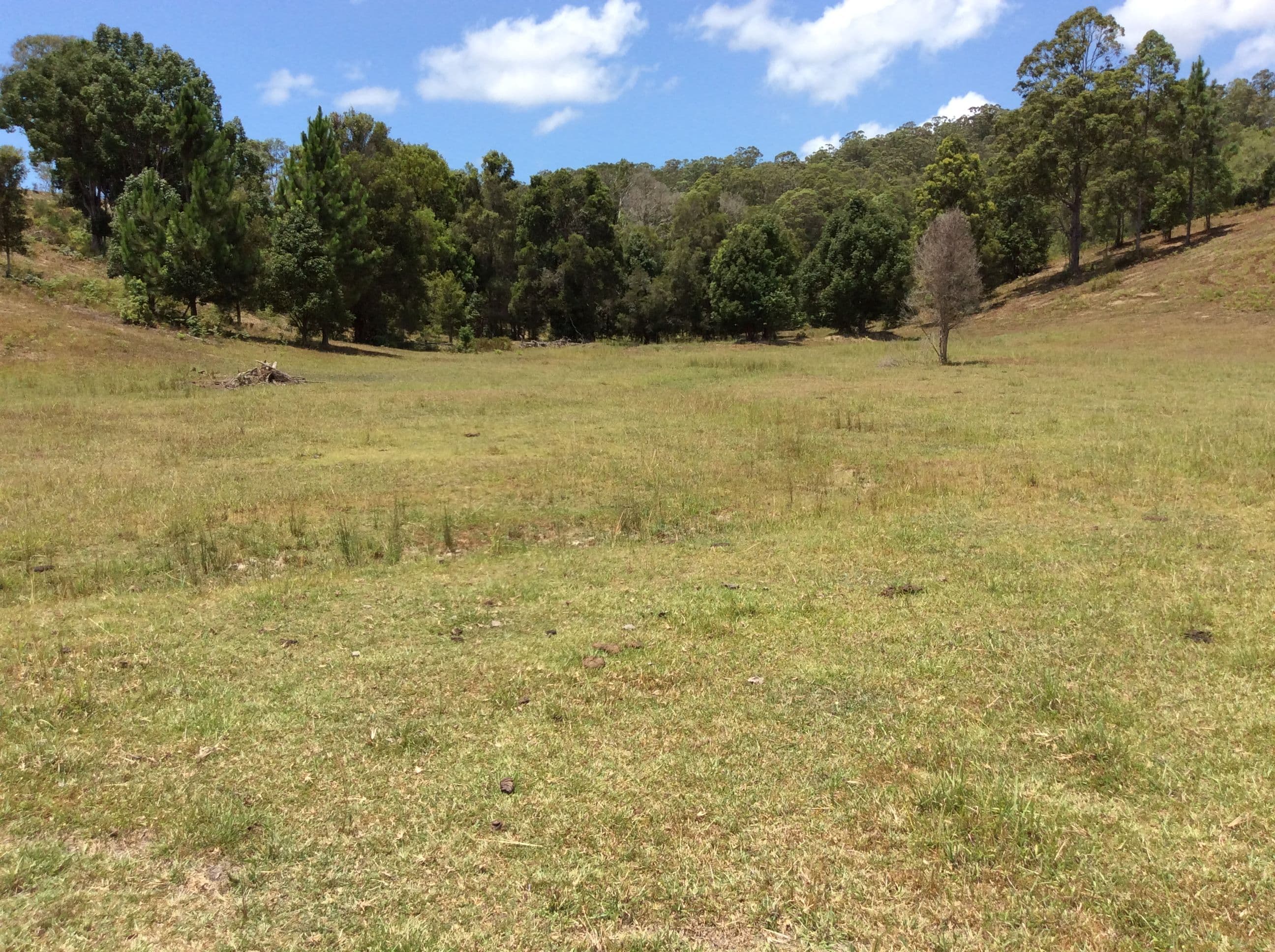 160 Richards Deviation, Dunbible NSW 2484, Dunbible - Thumbnail 5