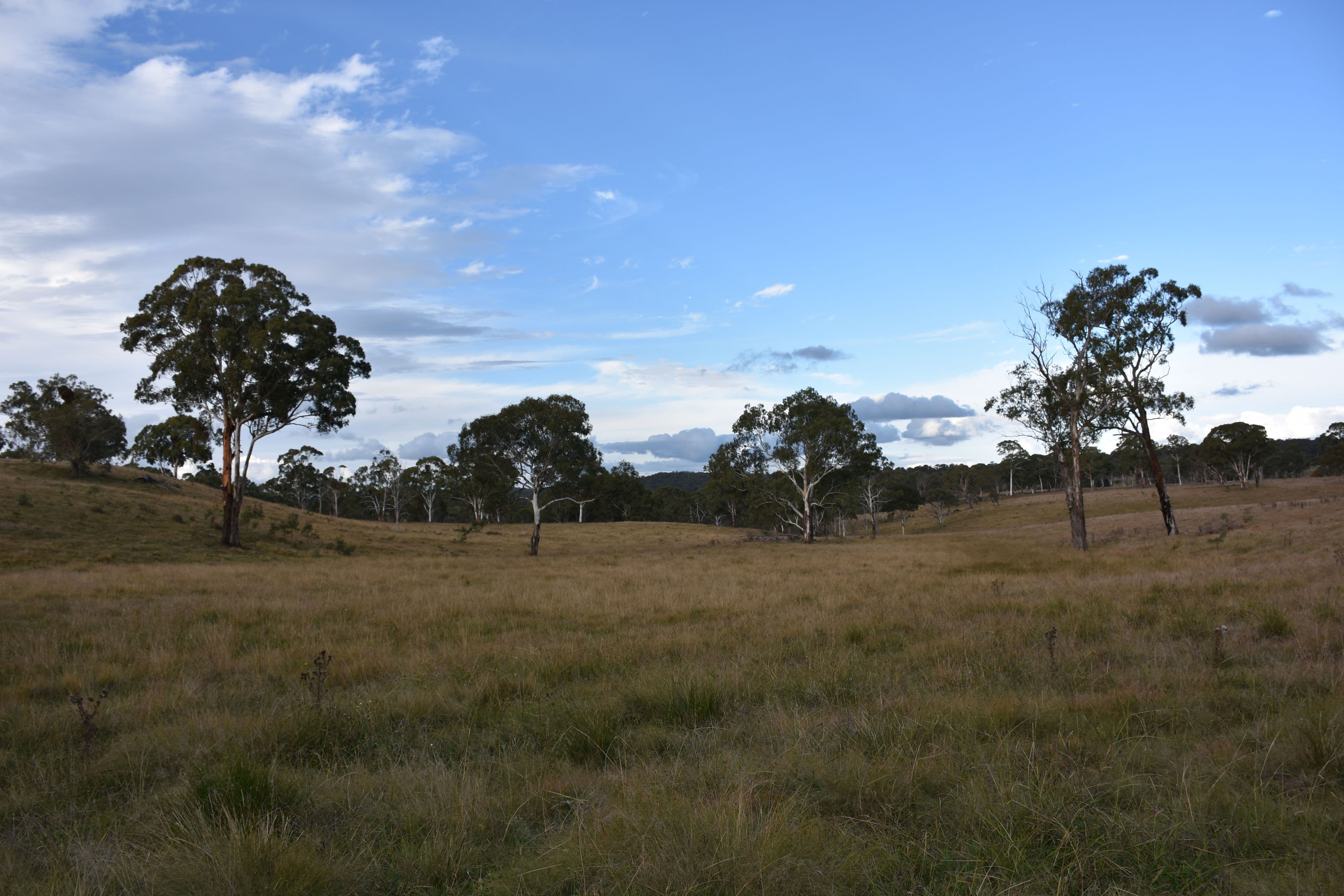 0 Donnelly's, Glen Innes NSW 2370, Glen Innes - Thumbnail 7