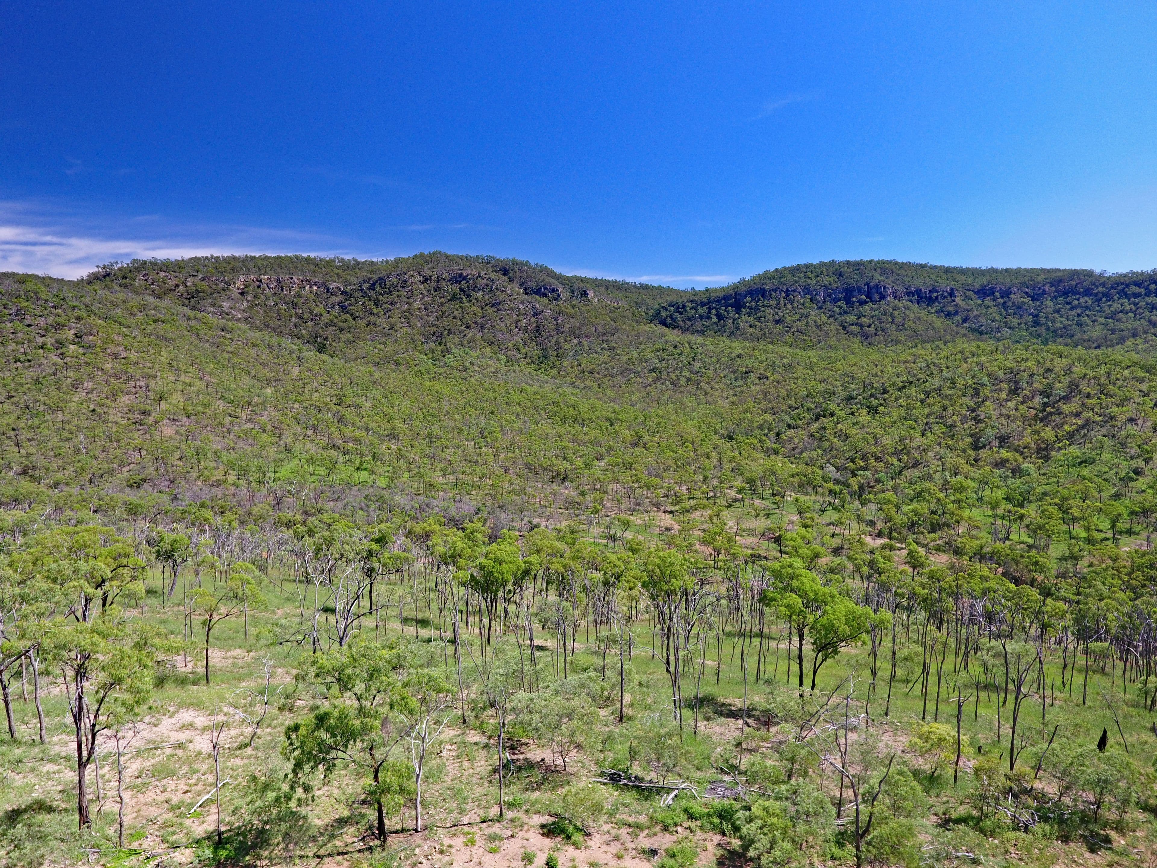 Dumgree QLD 4715, Dumgree - Thumbnail 4