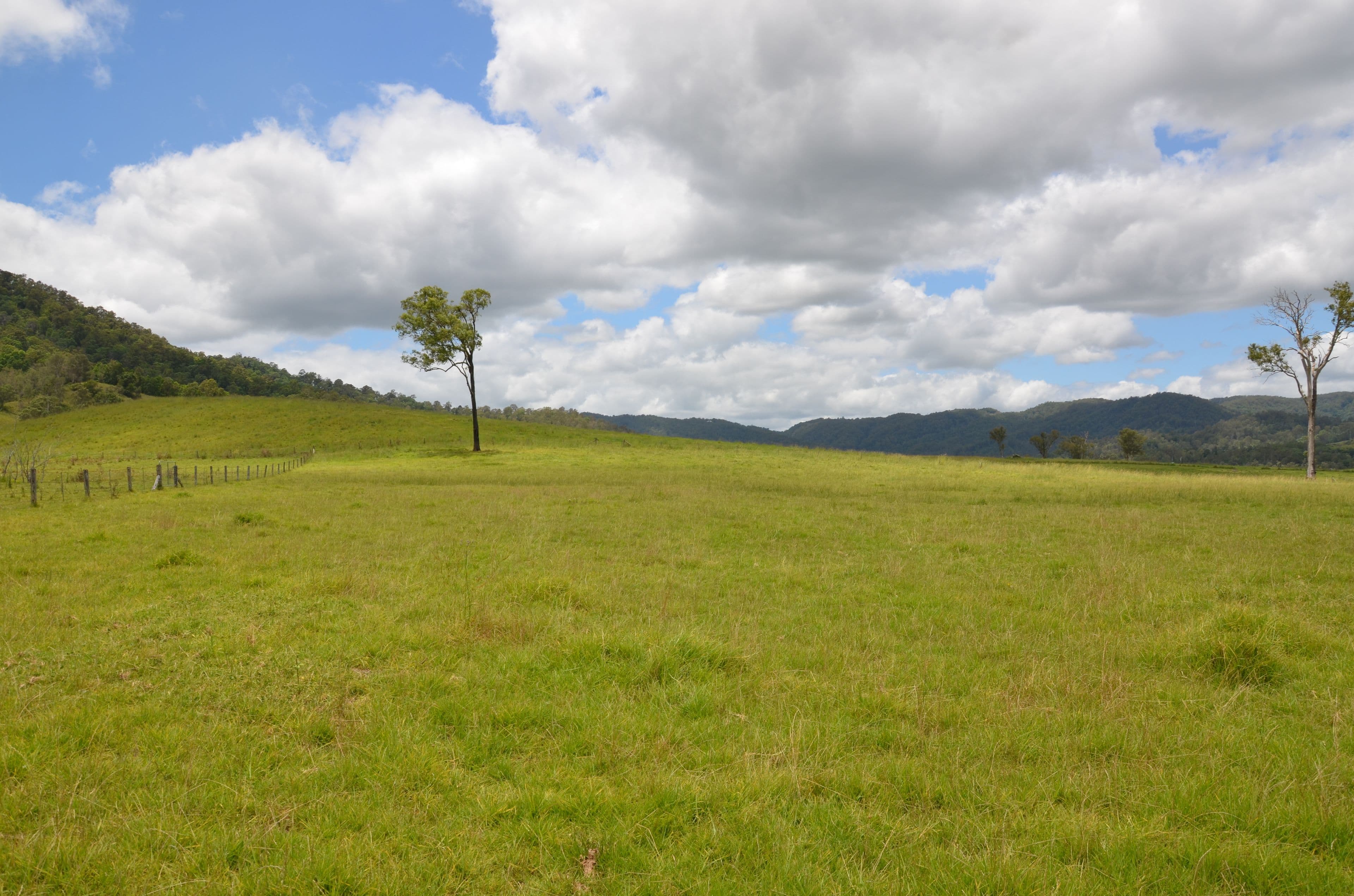 Lot 15 Aherns Road, Conondale QLD 4552, Conondale - Thumbnail 6