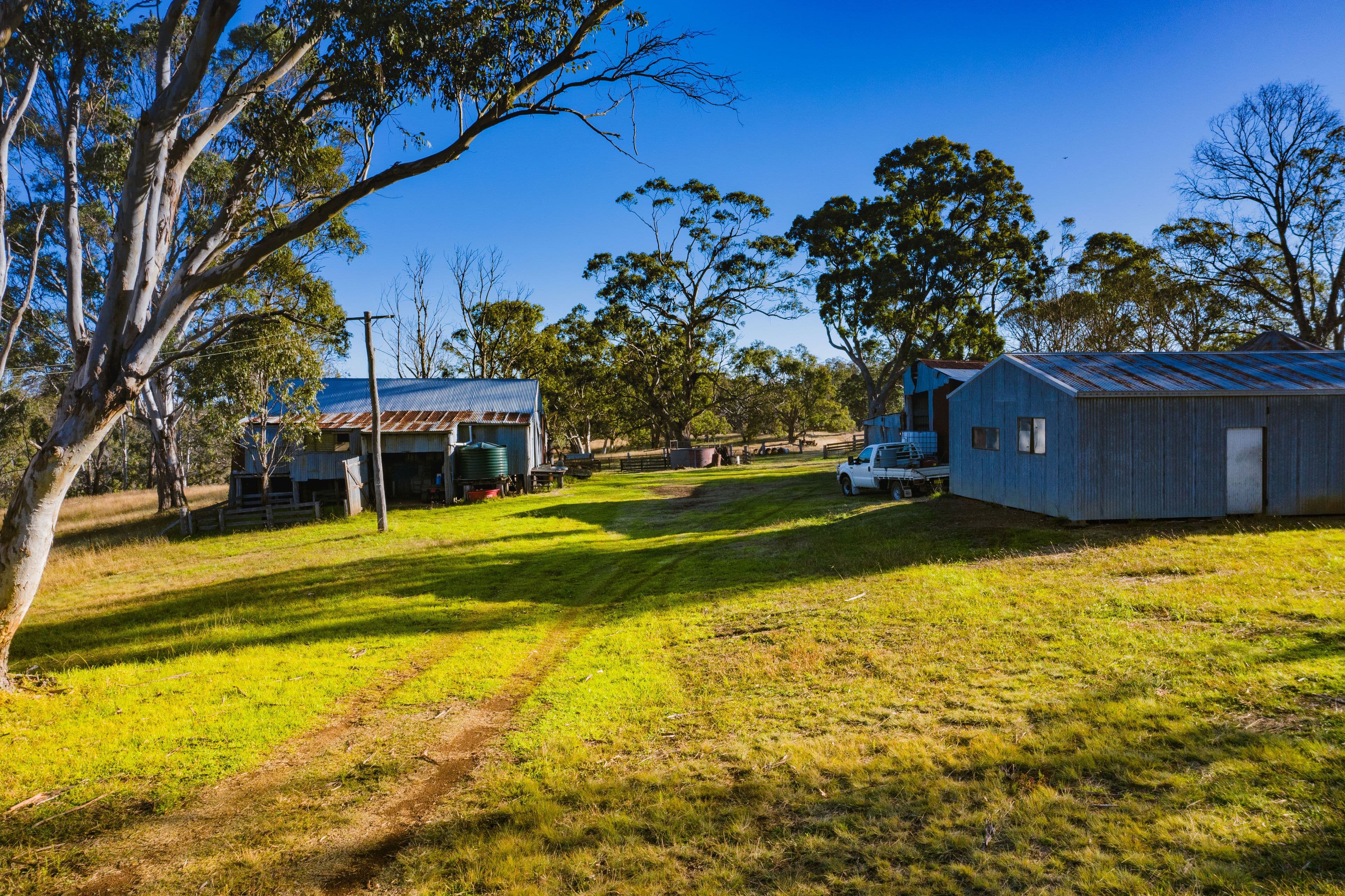 389 Oslo Road, Reddestone NSW 2370, Reddestone - Thumbnail 4