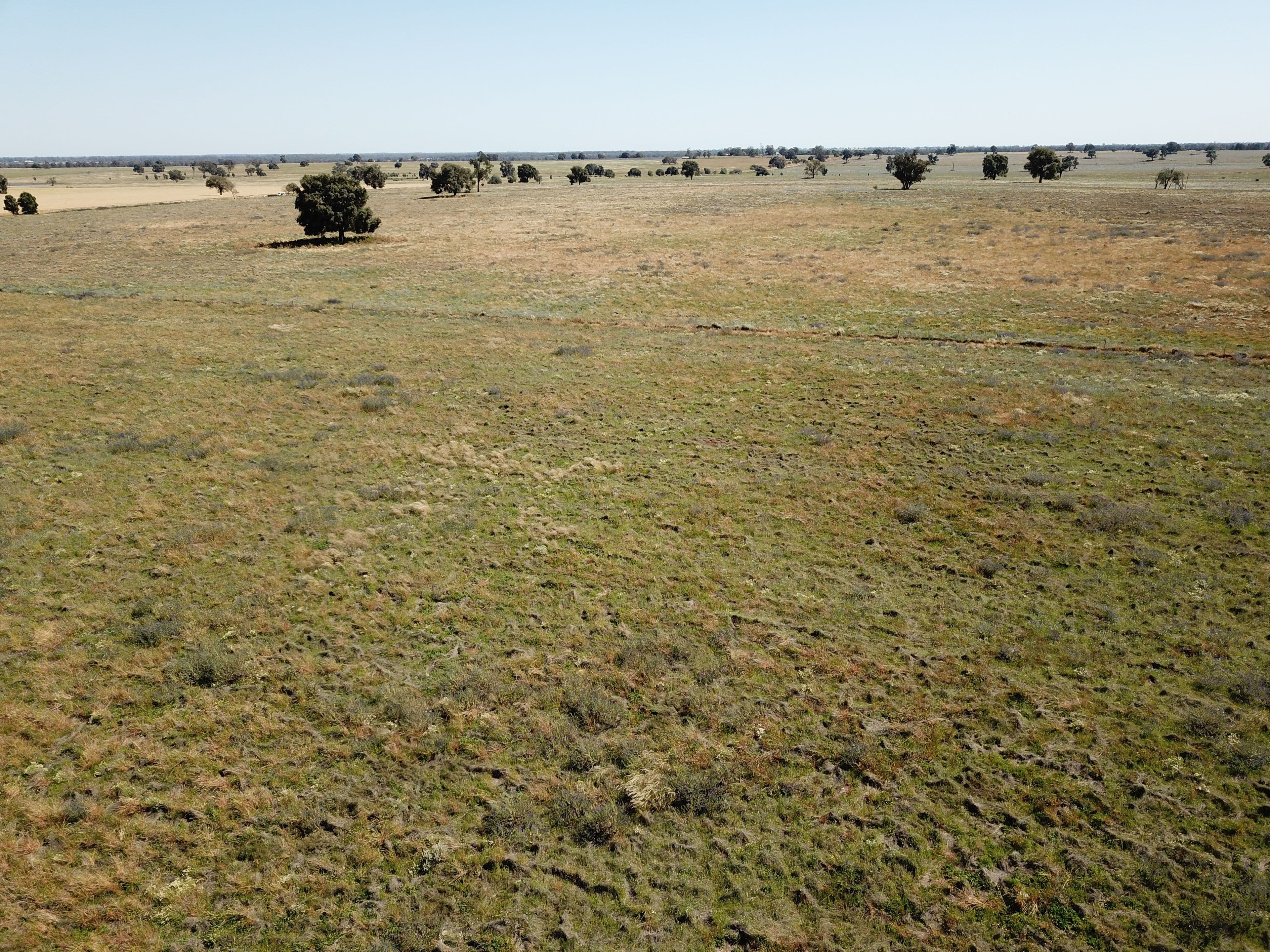 'Waratah' 176 Lincoln Lane, Narromine NSW 2821, Narromine - Thumbnail 6