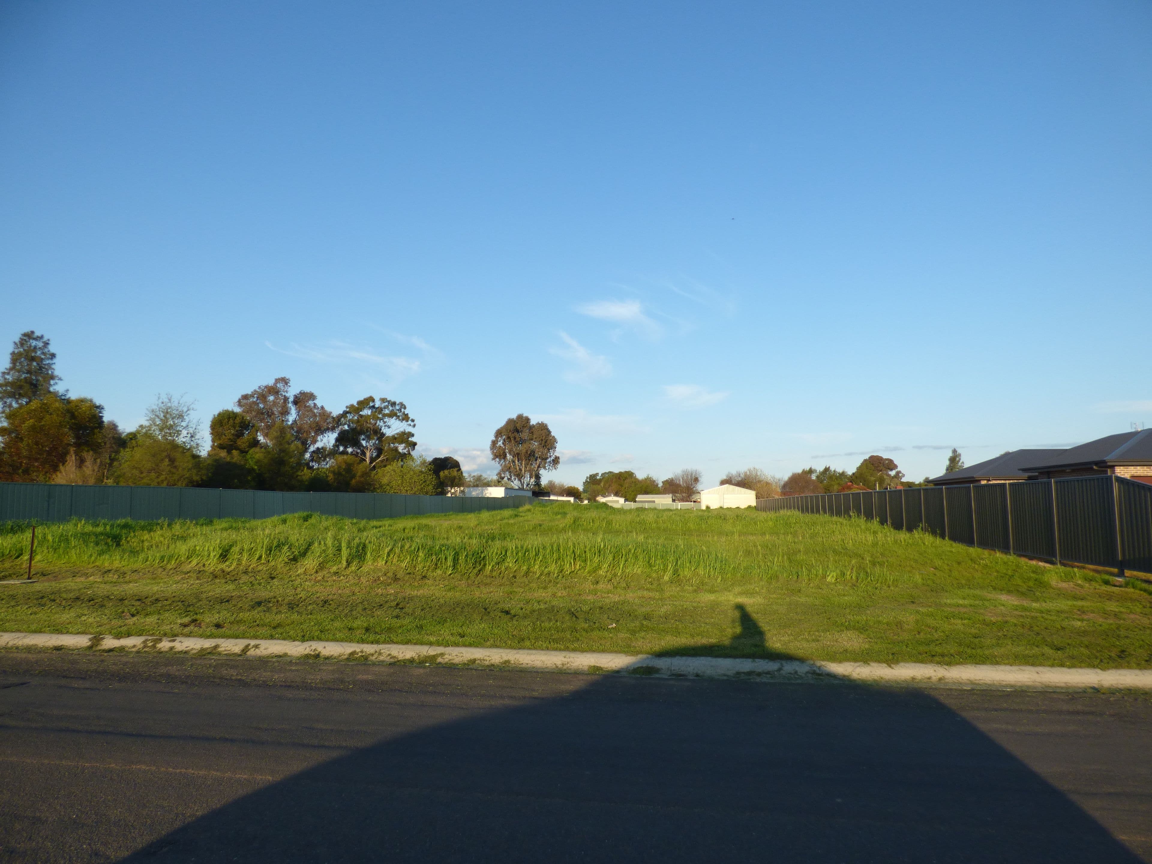 55 York Street, Forbes NSW 2871, Forbes - Thumbnail 3
