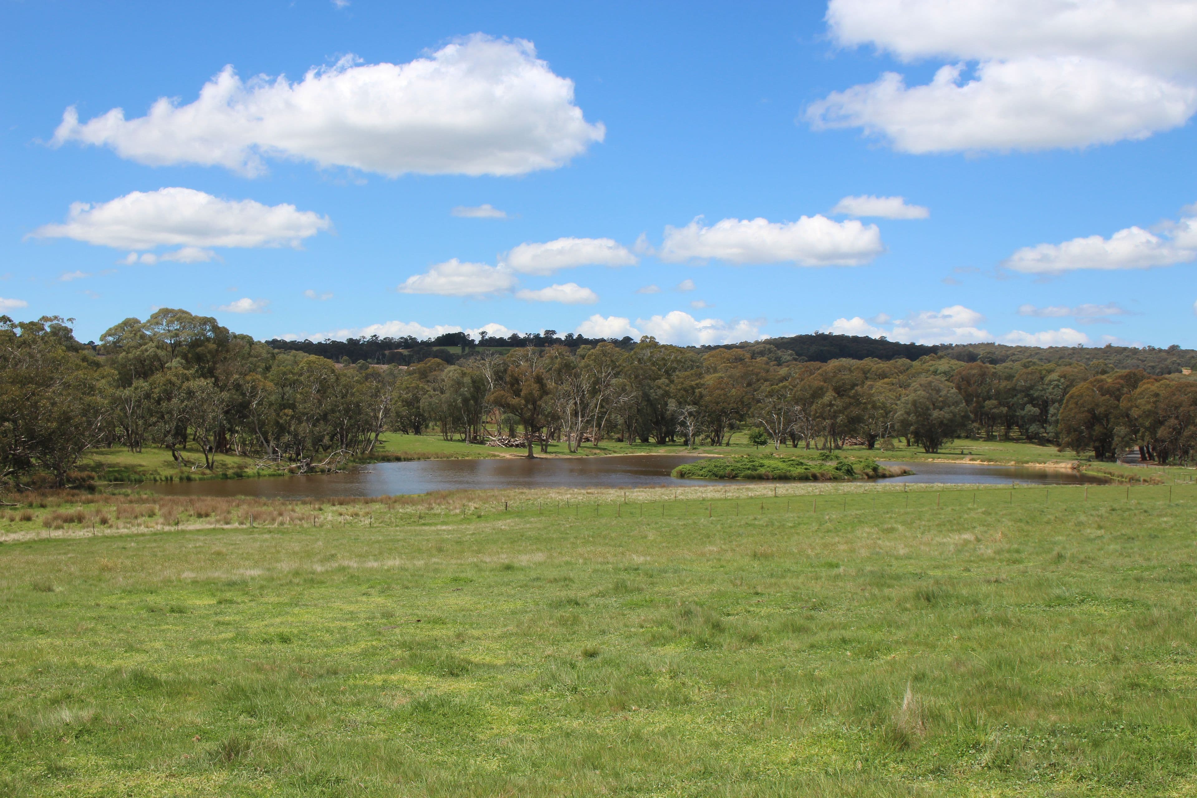 185 Old Taradale Road, Rosewood NSW 2652, Rosewood - Thumbnail 2