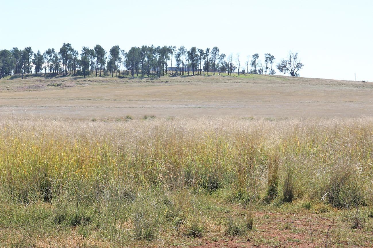 Coonabarabran NSW 2357, Coonabarabran - Thumbnail 2