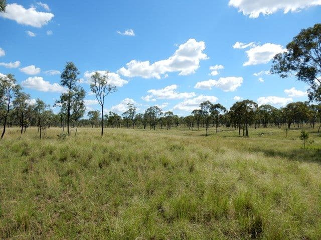 131 and 138 Harsants Road, LAWGI DAWES QLD 4716, Lawgi Dawes - Thumbnail 7