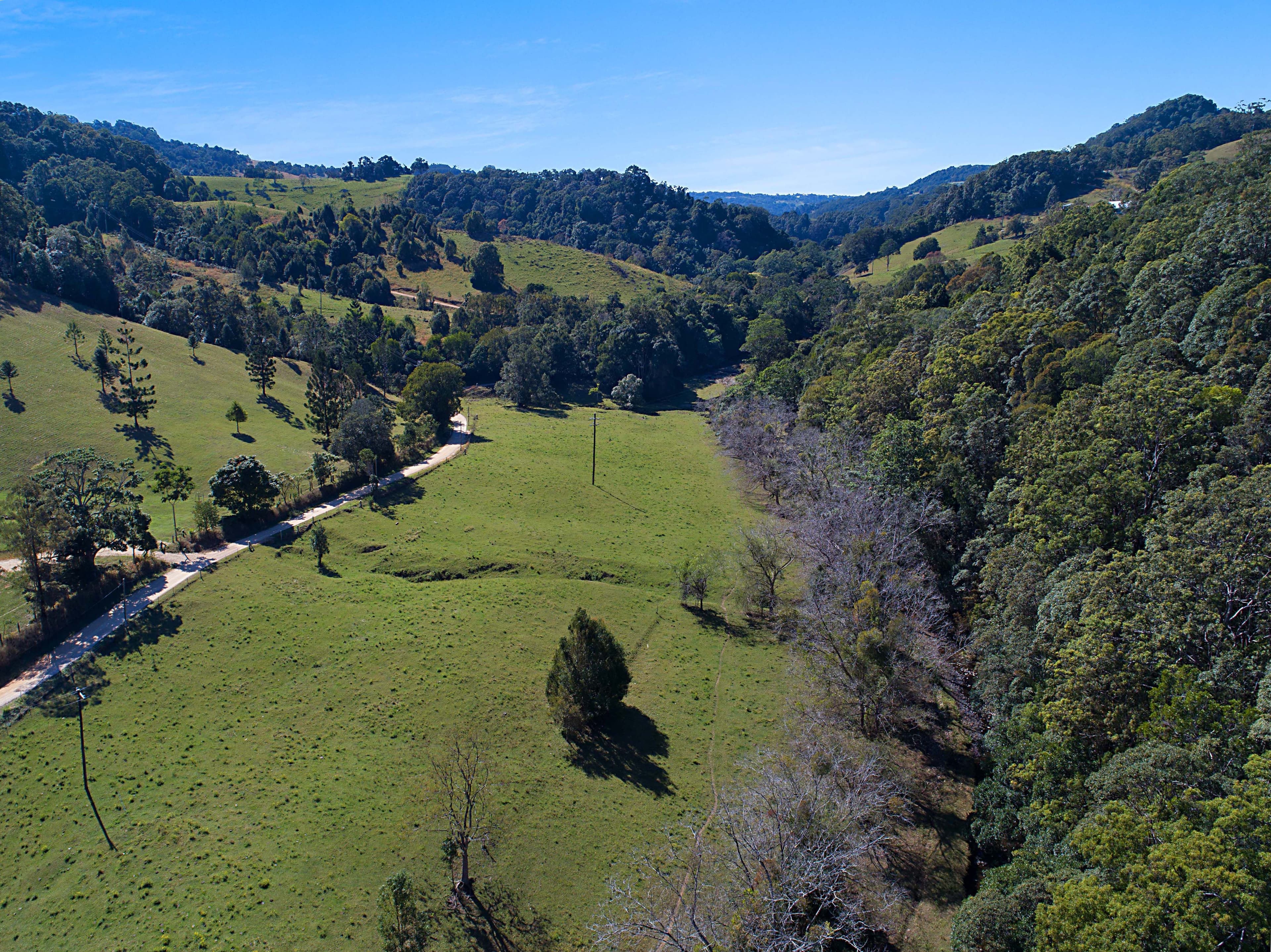 679 Urliup Road, Urliup NSW 2484, Urliup - Thumbnail 7