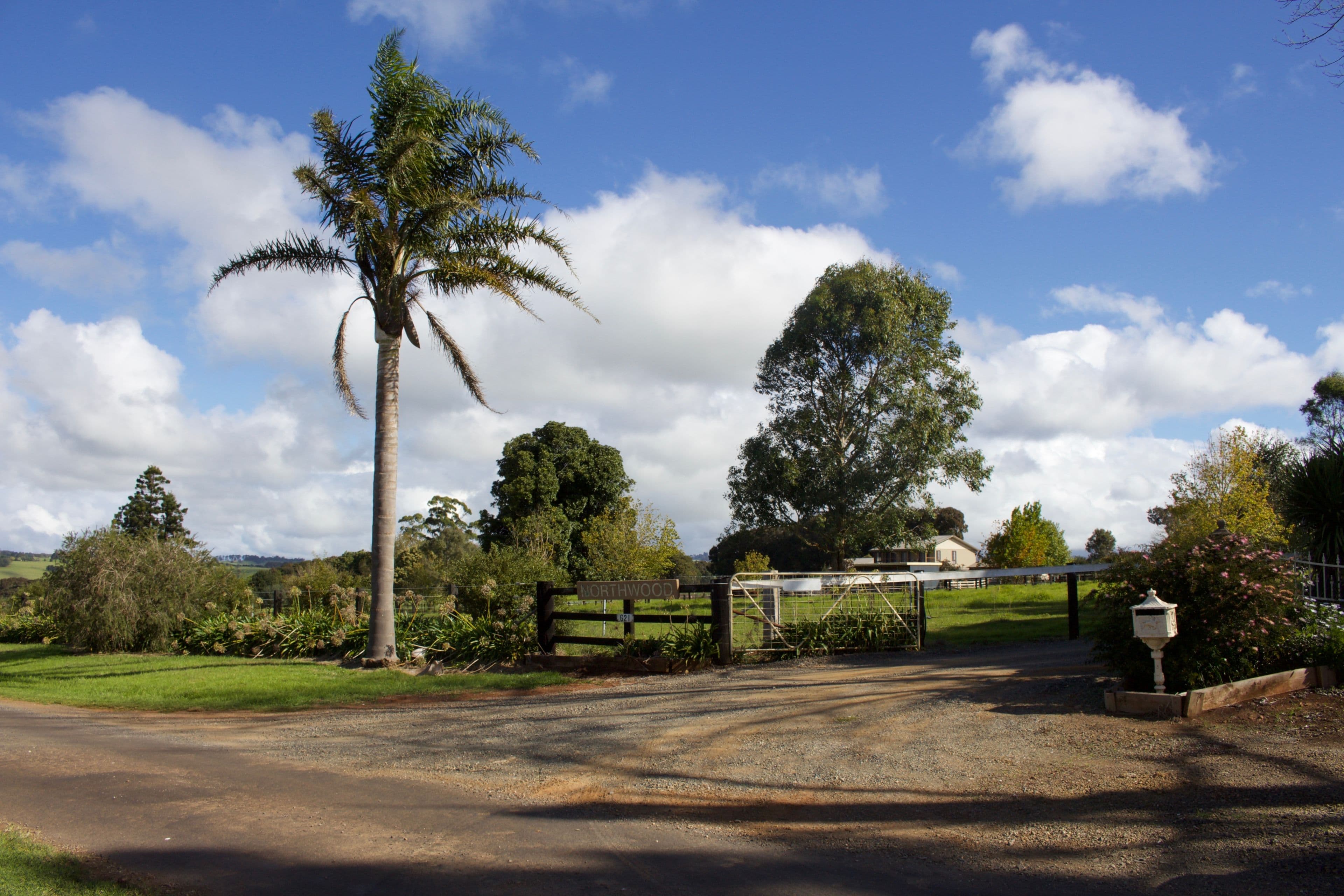 621 Old Coast Road, Dorrigo NSW 2453, Dorrigo - Thumbnail 2