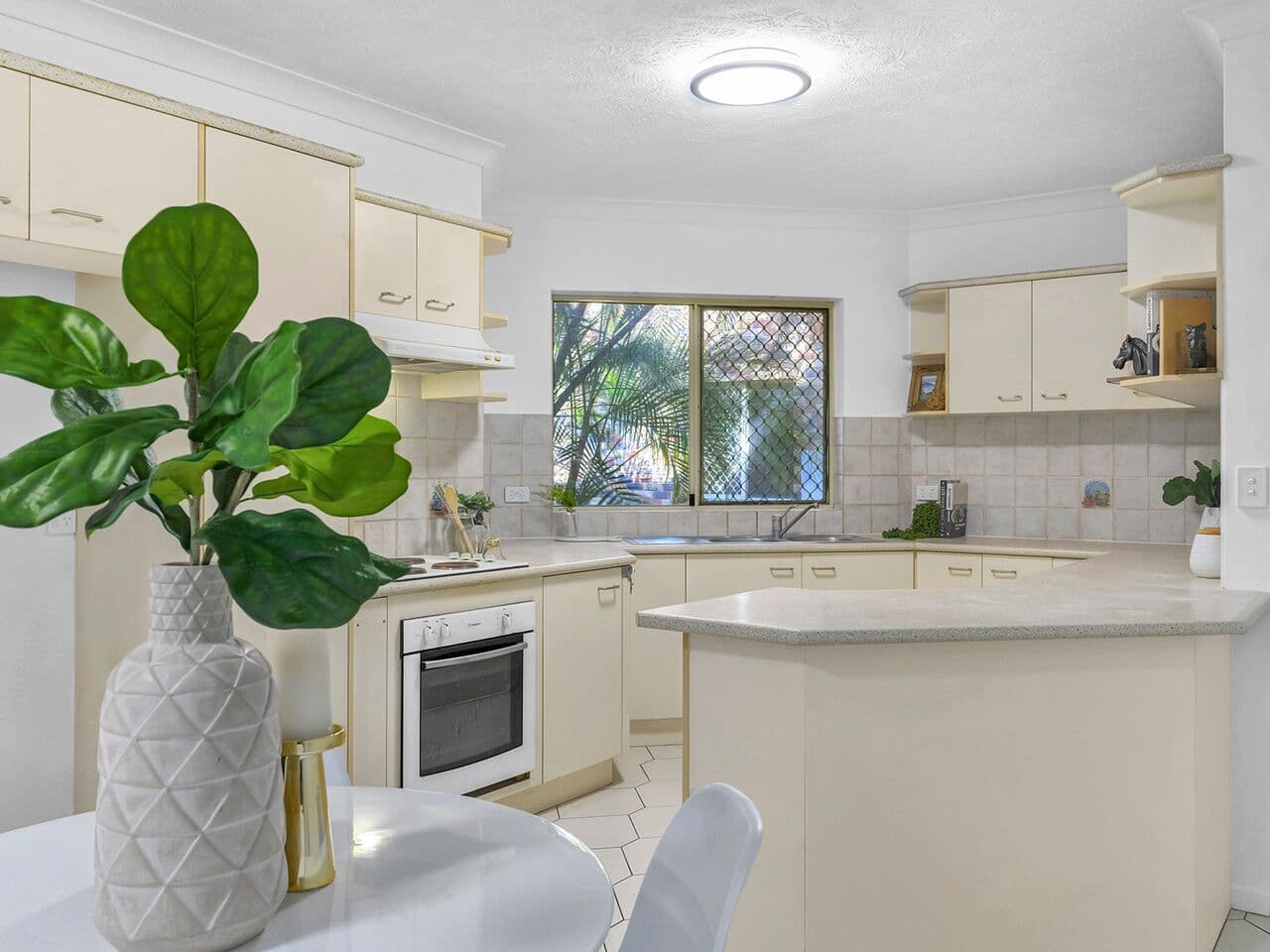38 Alma Road, Clayfield QLD 4011, Clayfield - Thumbnail 3