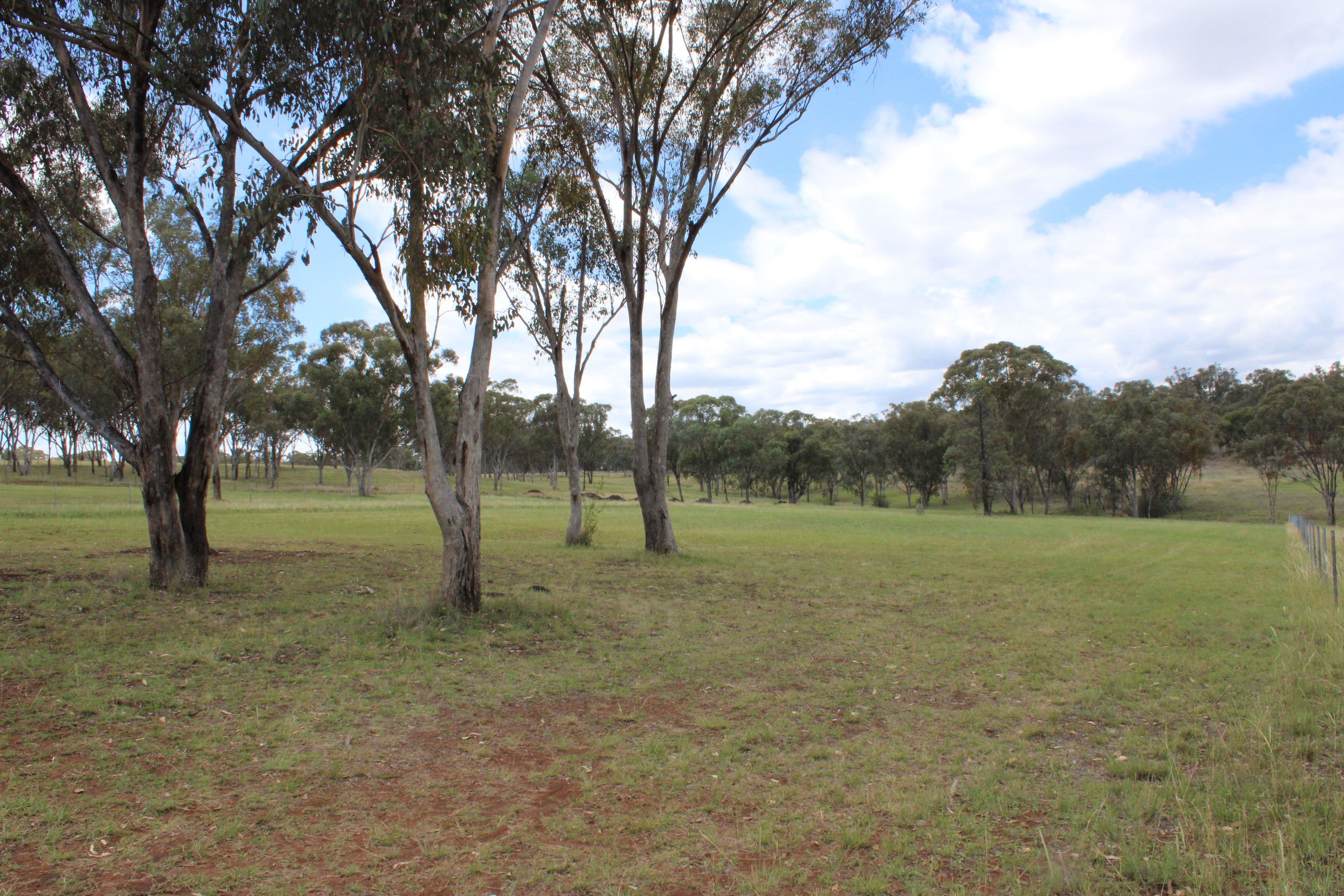 66 Bimbadeen Drive, Inverell NSW 2360, Inverell - Thumbnail 3