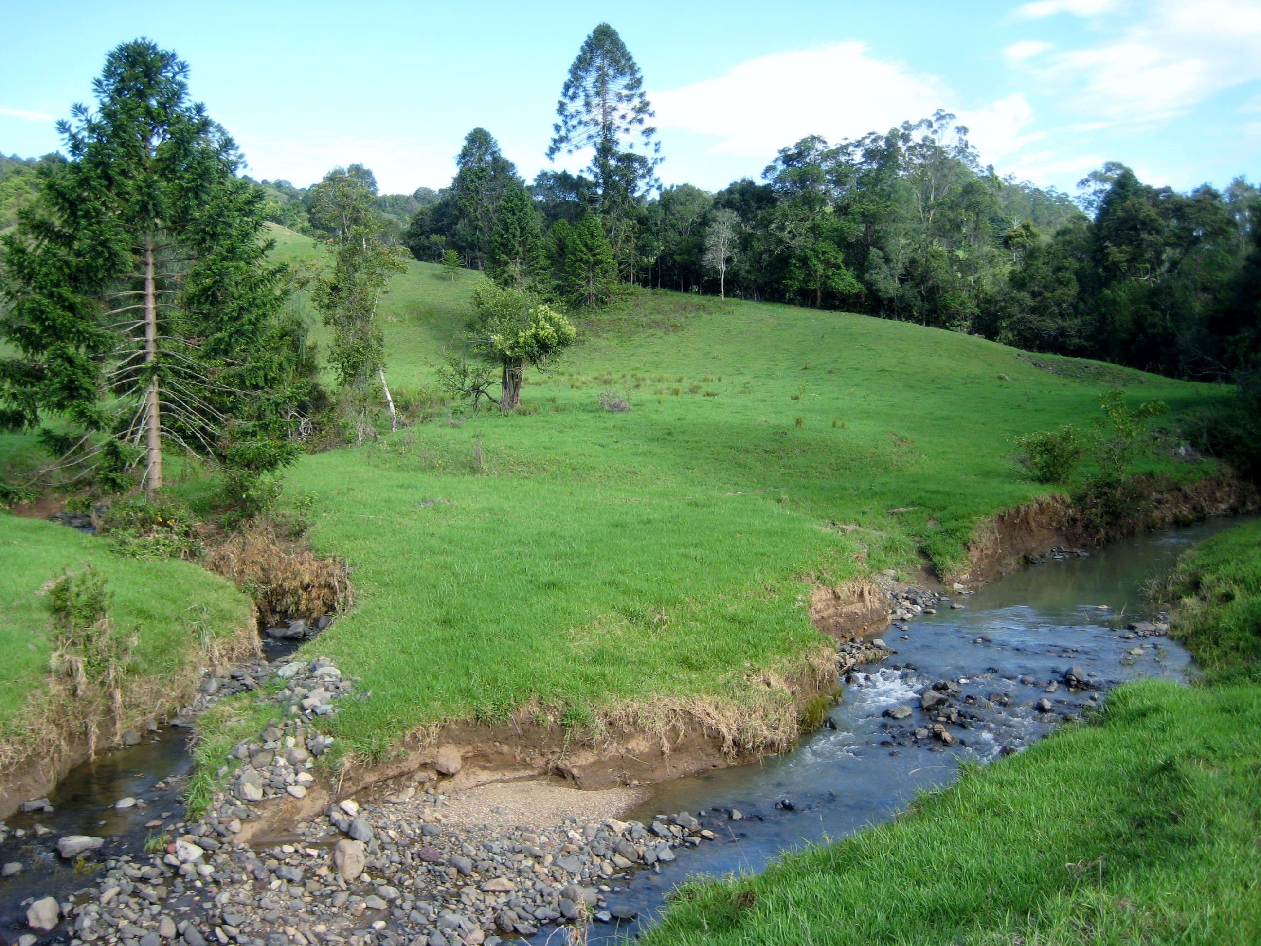 Maleny QLD 4552, Maleny - Thumbnail 6