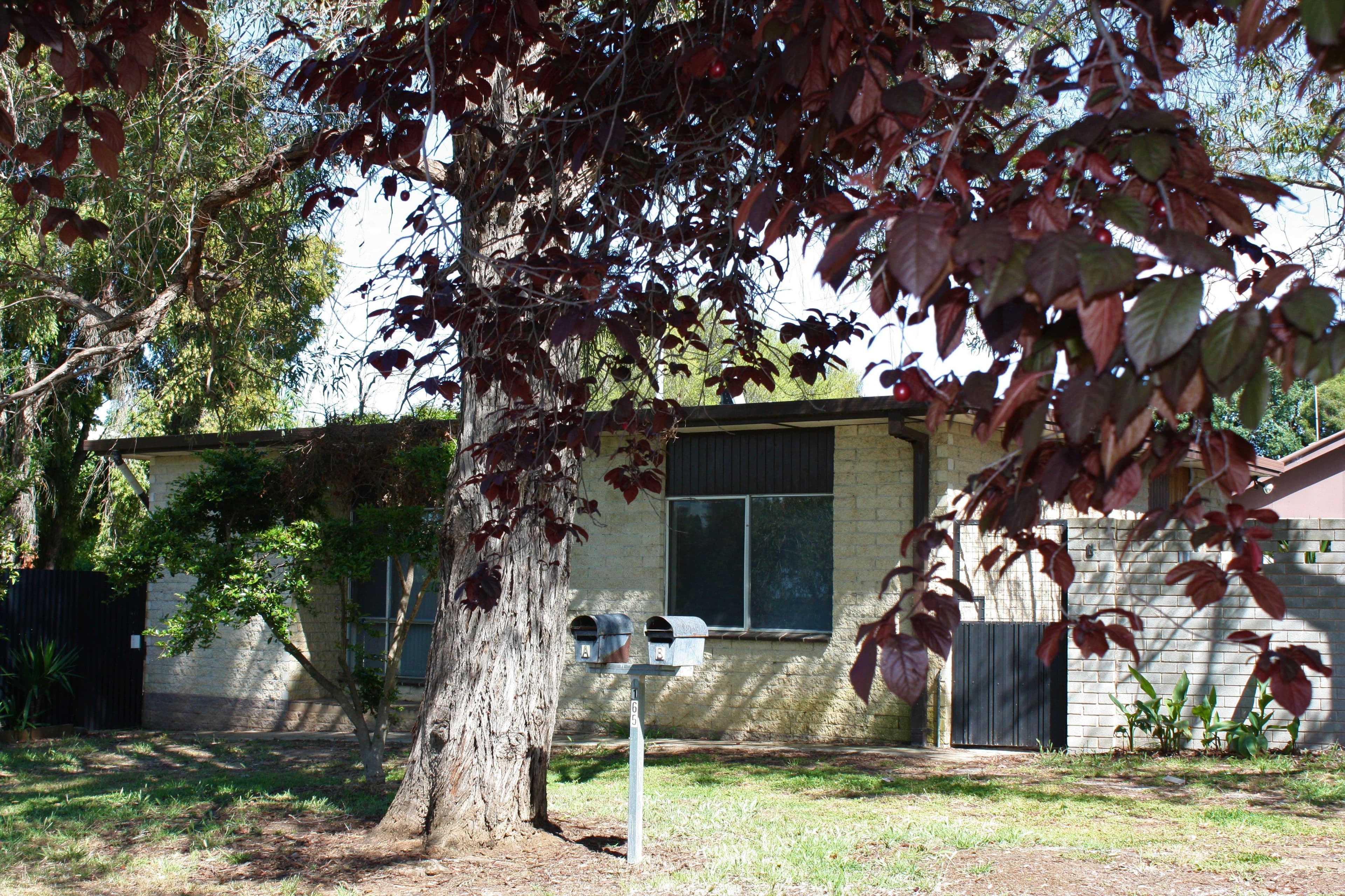 165 Federation Avenue, Corowa NSW 2646, Corowa - Image 1