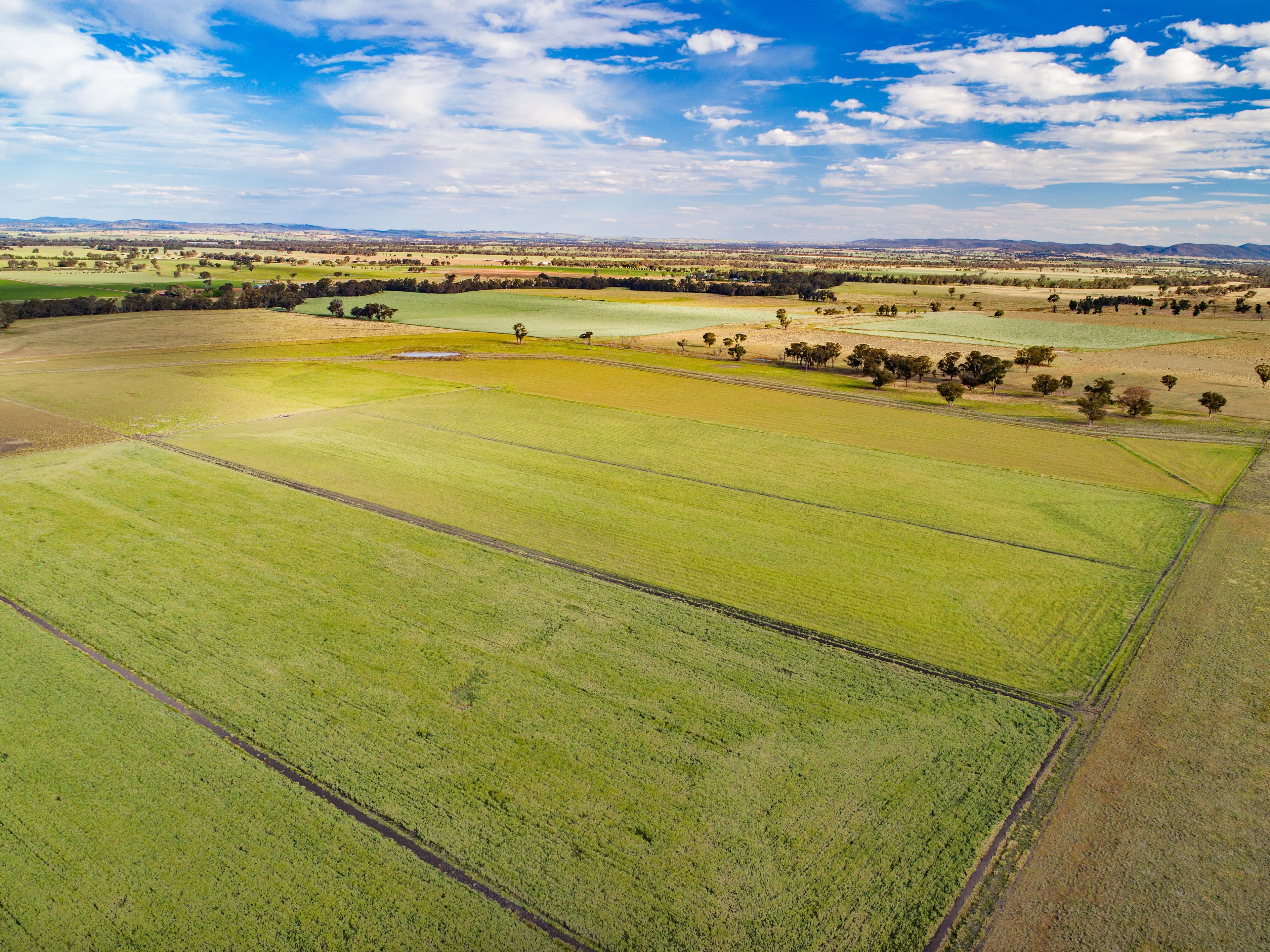 1015 Mid Western Highway, Cowra NSW 2794, Cowra - Thumbnail 2