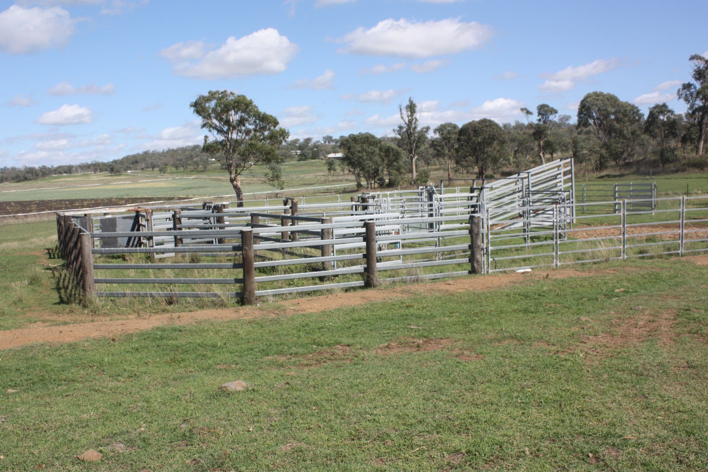 0 Richardson Road, Southbrook QLD 4363, Southbrook - Thumbnail 3