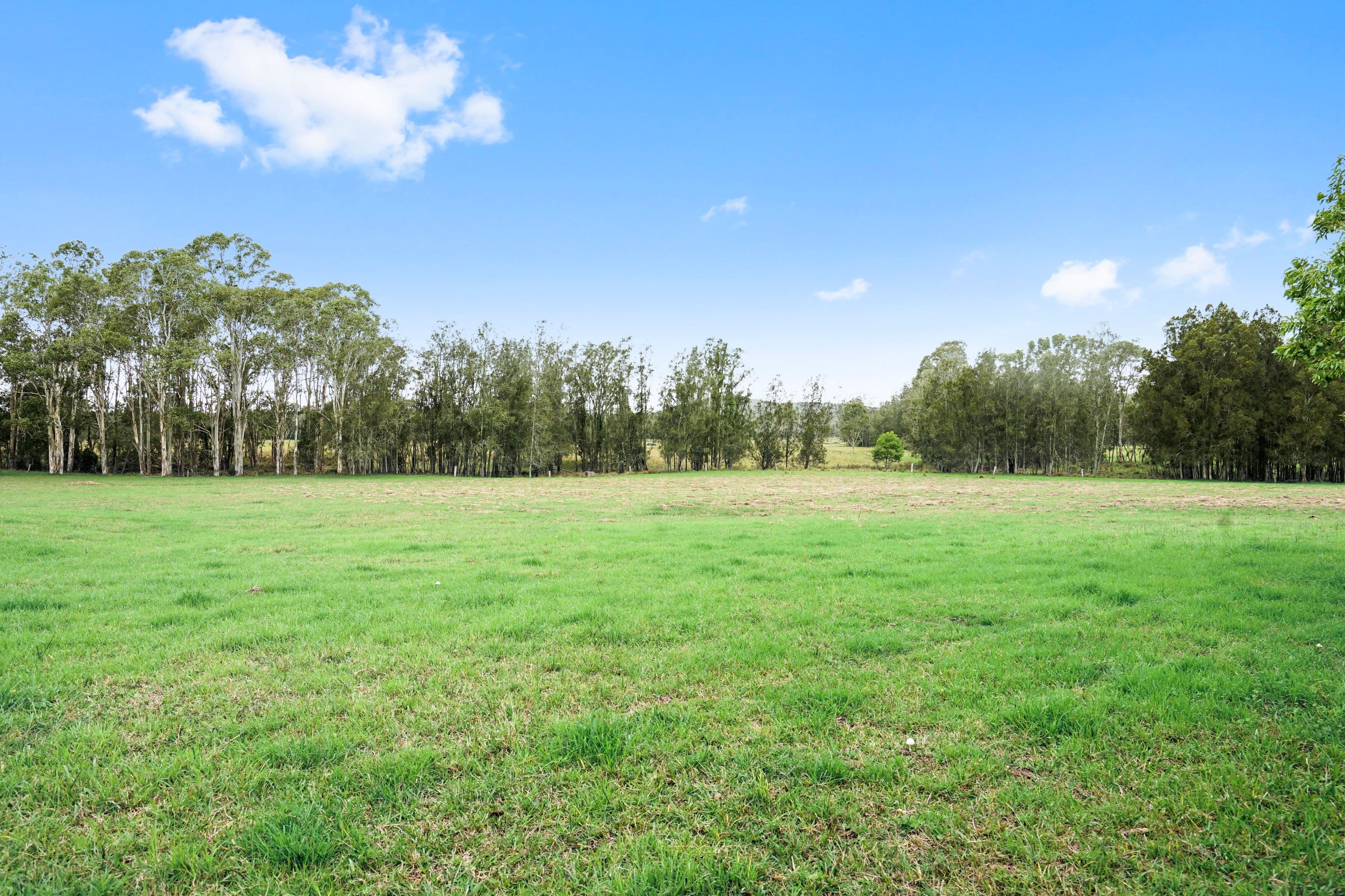 235 Deaves Road, Mandalong NSW 2264, Mandalong - Thumbnail 3