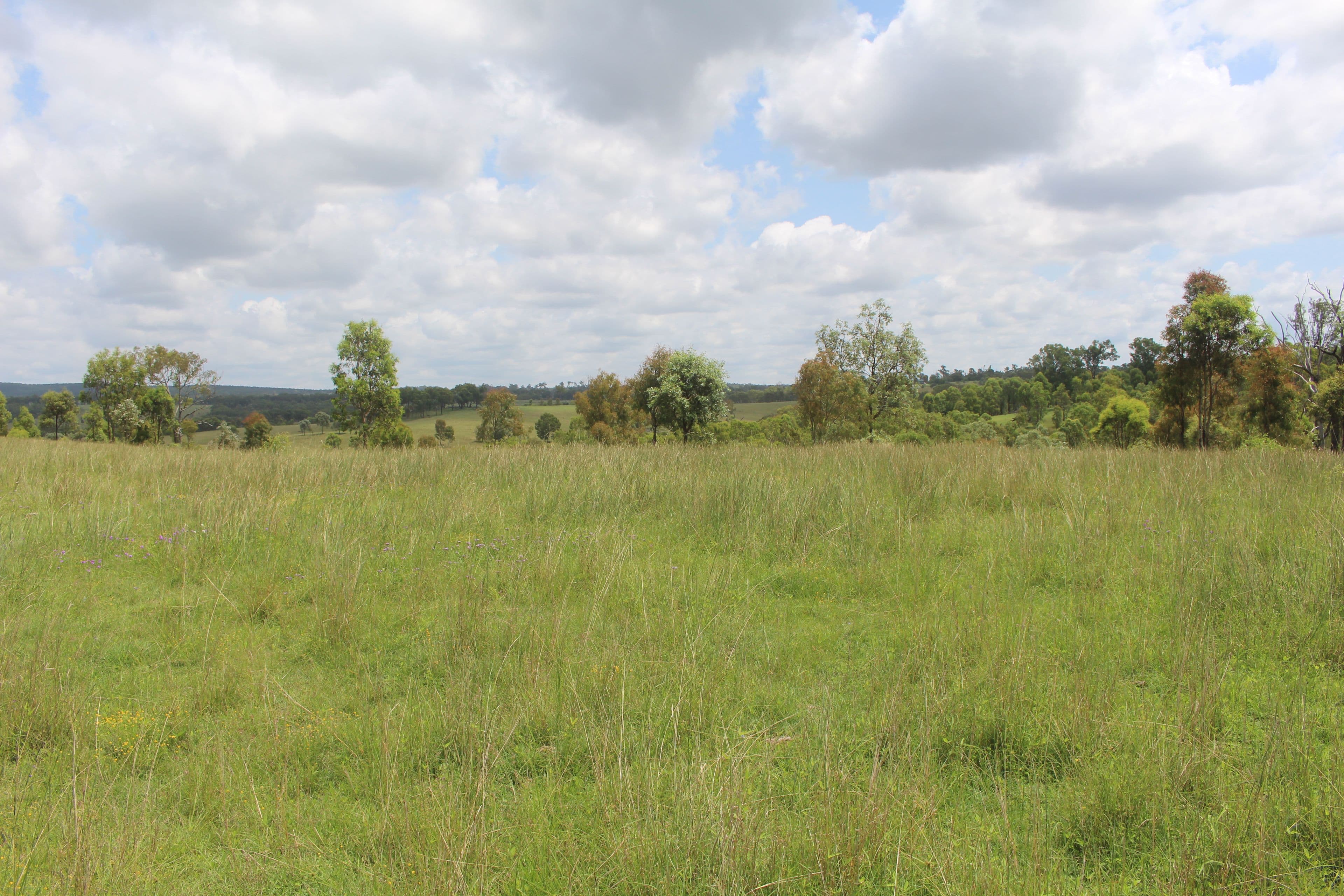 Lot 5 Old Esk North Road, South East Nanango QLD 4615, South East Nanango - Thumbnail 4