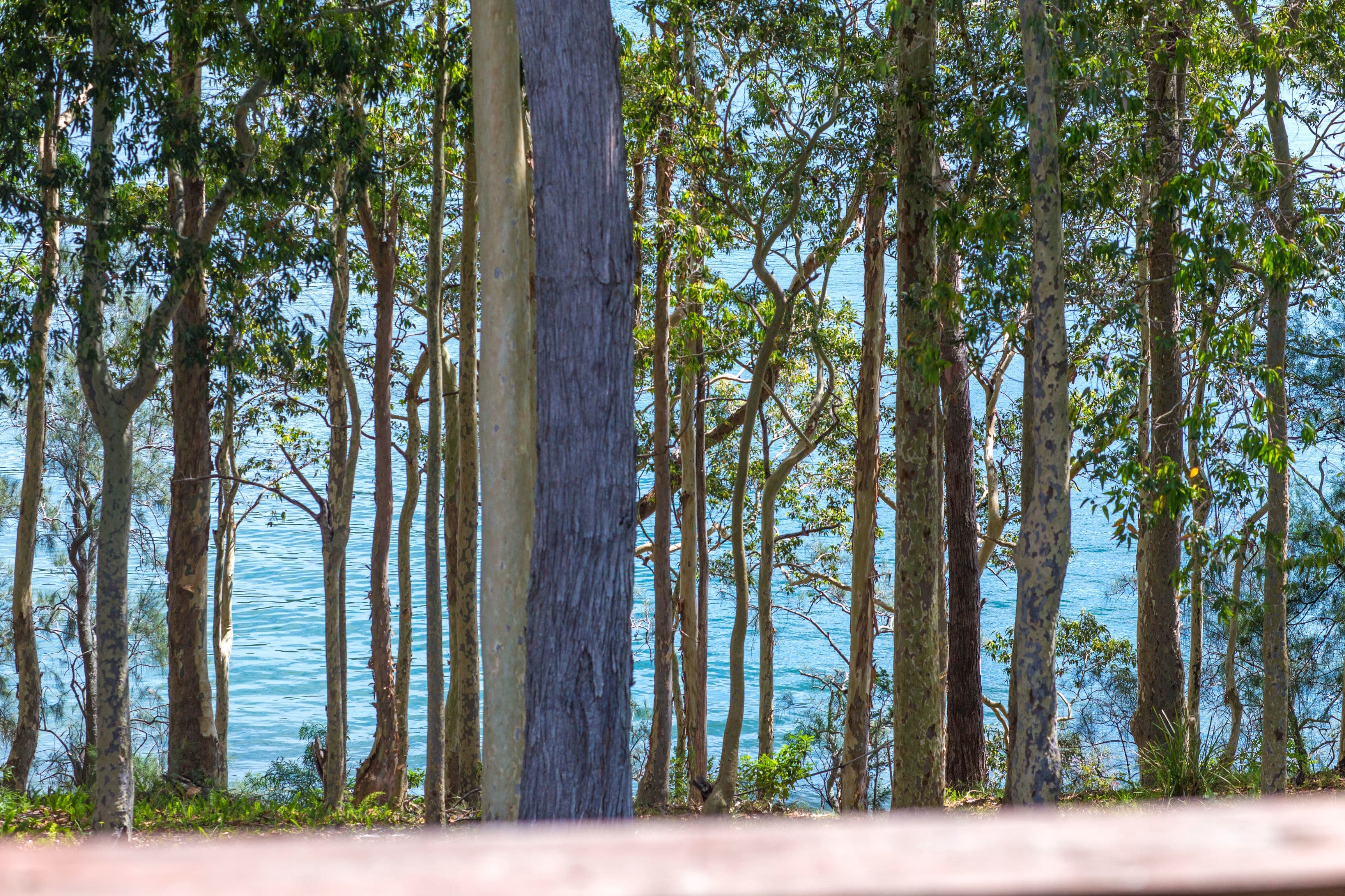 46 Kings Point Drive, Kings Point - Thumbnail 3