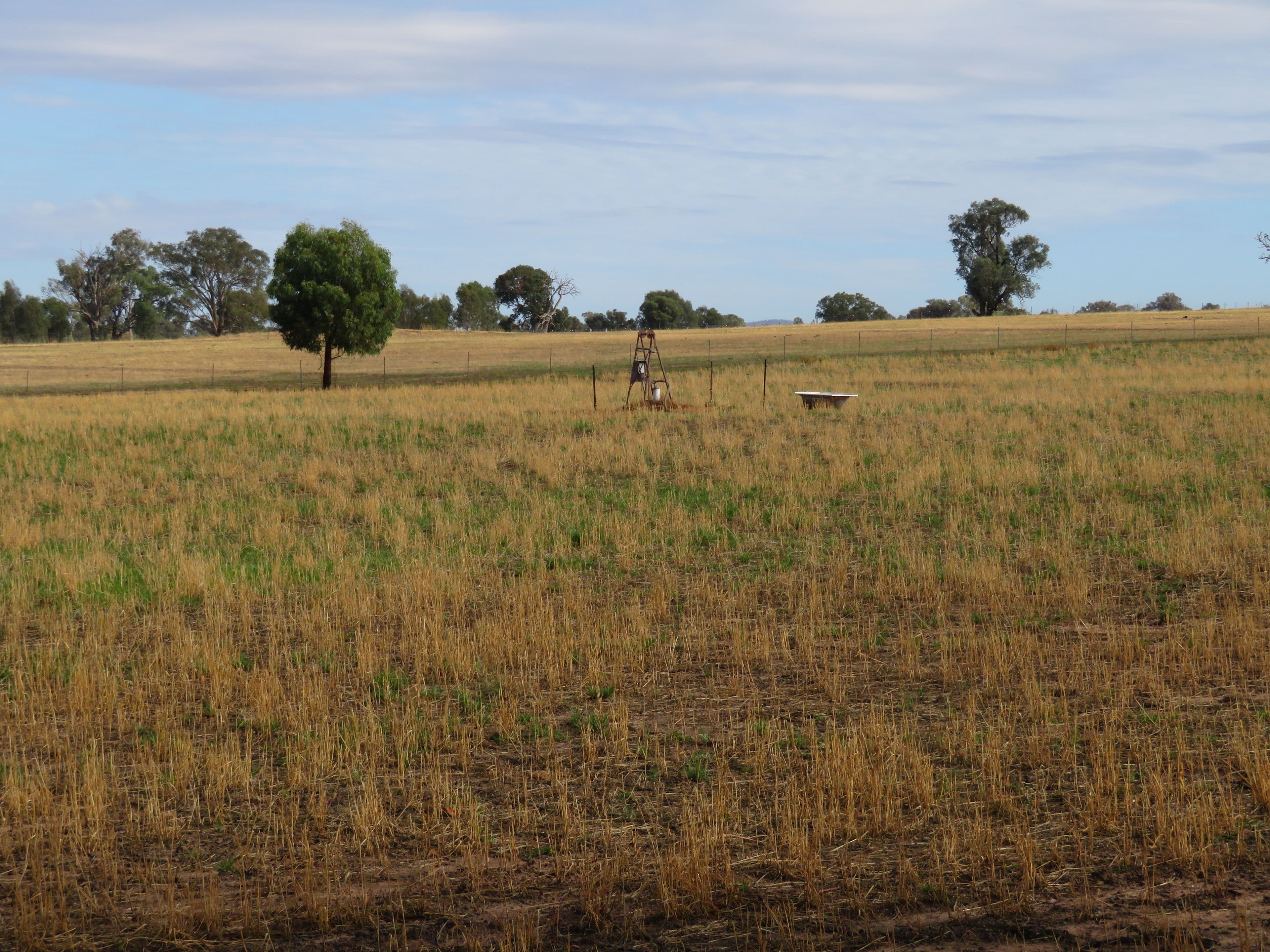 Lot 4 Old Hume Highway (Mundarlo Rd), Tumblong NSW 2729, Tumblong - Thumbnail 4