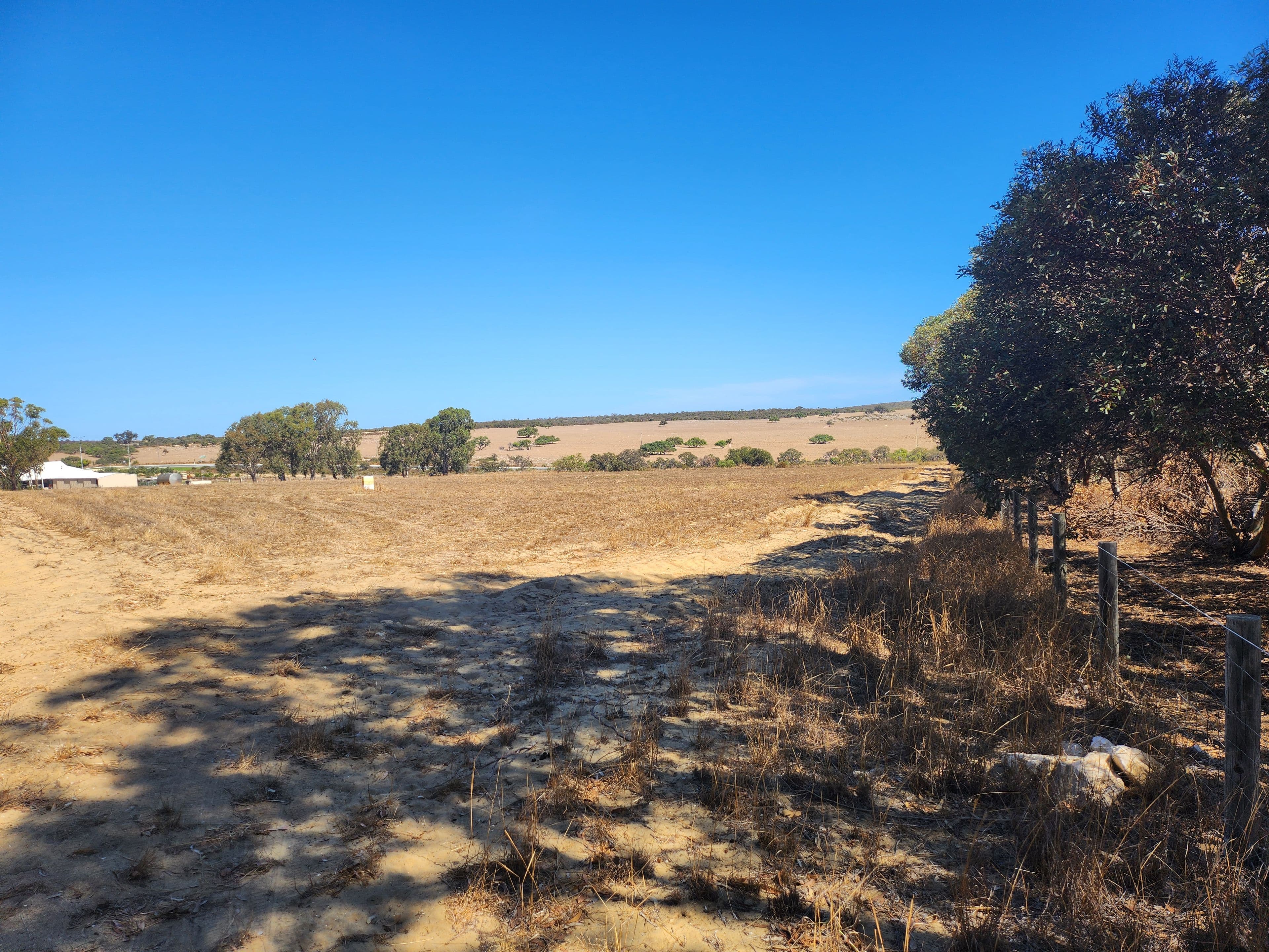 LOT 171 Blue Gum Crescent, Gabbadah WA 6041, Gabbadah - Thumbnail 4