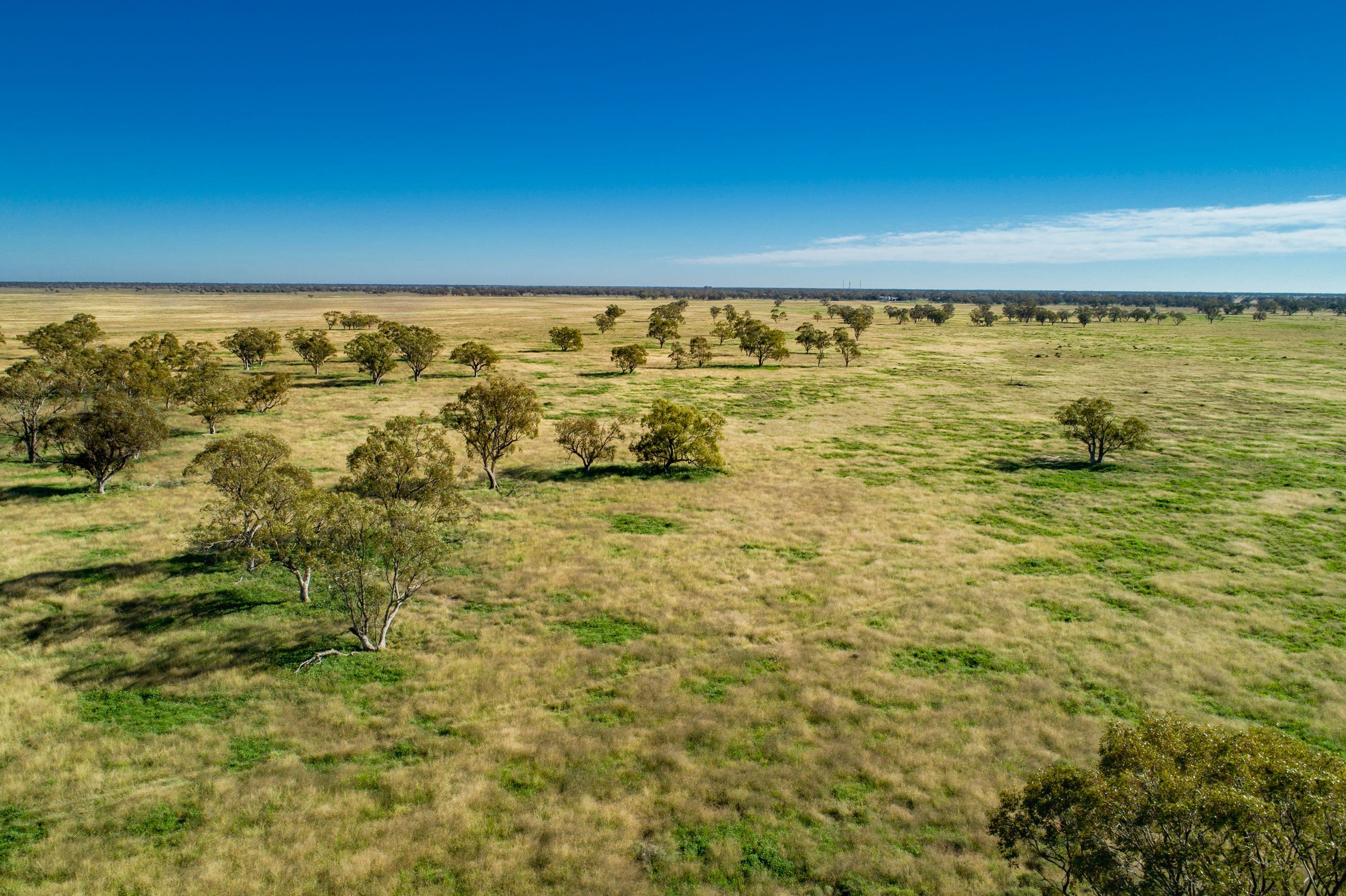 'Taralga' 13475 Mitchell Highway, Mullengudgery NSW 2825, Mullengudgery - Thumbnail 3