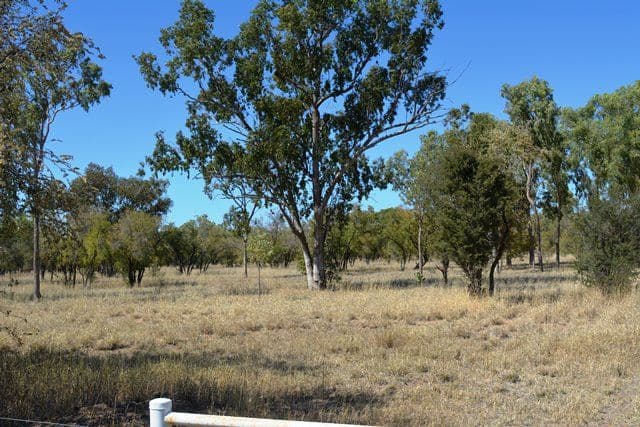 Lot 8 Frames Lane, Blackall QLD 4472, Blackall - Thumbnail 4