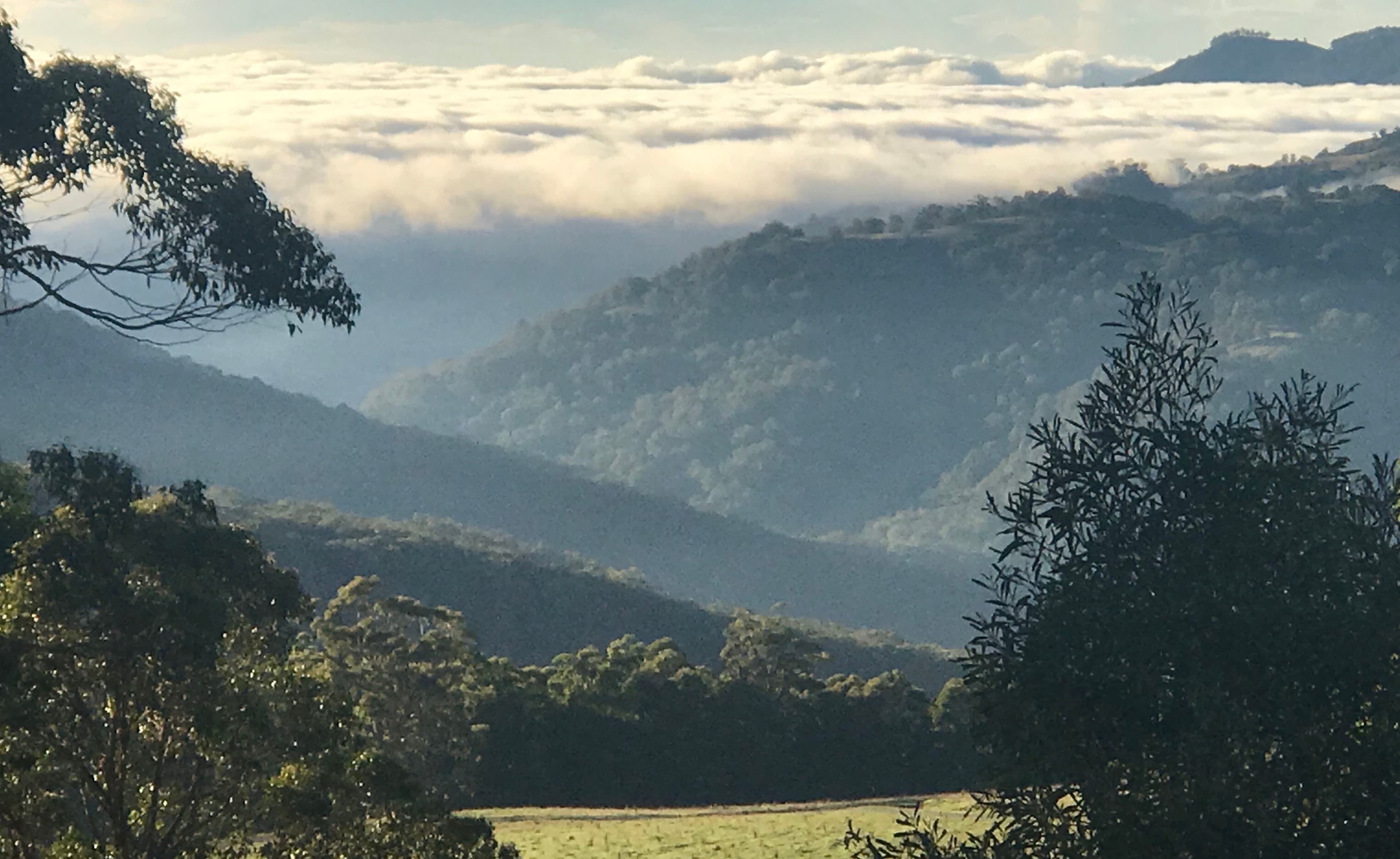 221 Shearers Road, Hanging Rock NSW 2340, Hanging Rock - Thumbnail 2