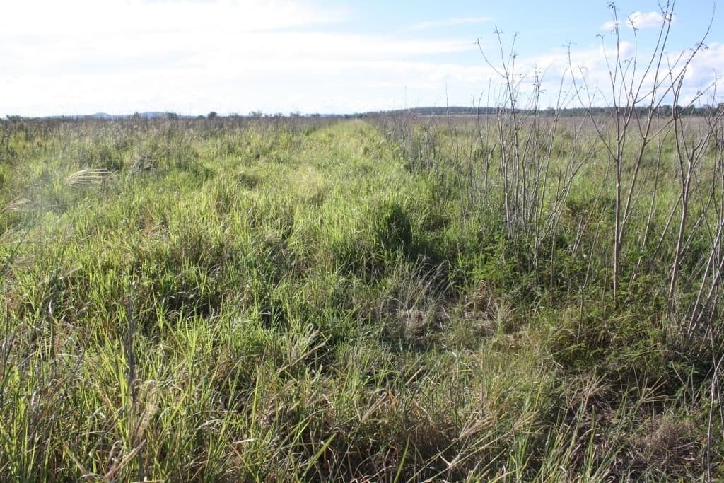 Lot 55 & 79 Burnett Highway, Eidsvold QLD 4627, Eidsvold - Thumbnail 2
