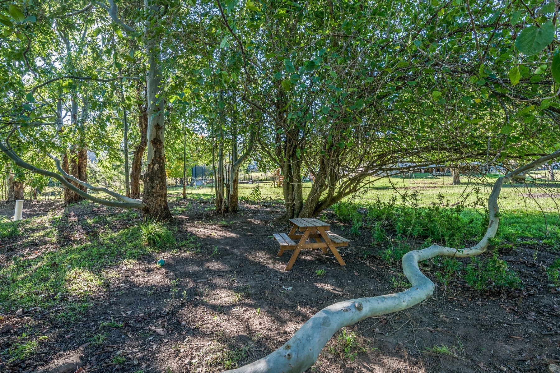 717 Allyn River Road, Gresford NSW 2311, East Gresford - Thumbnail 3