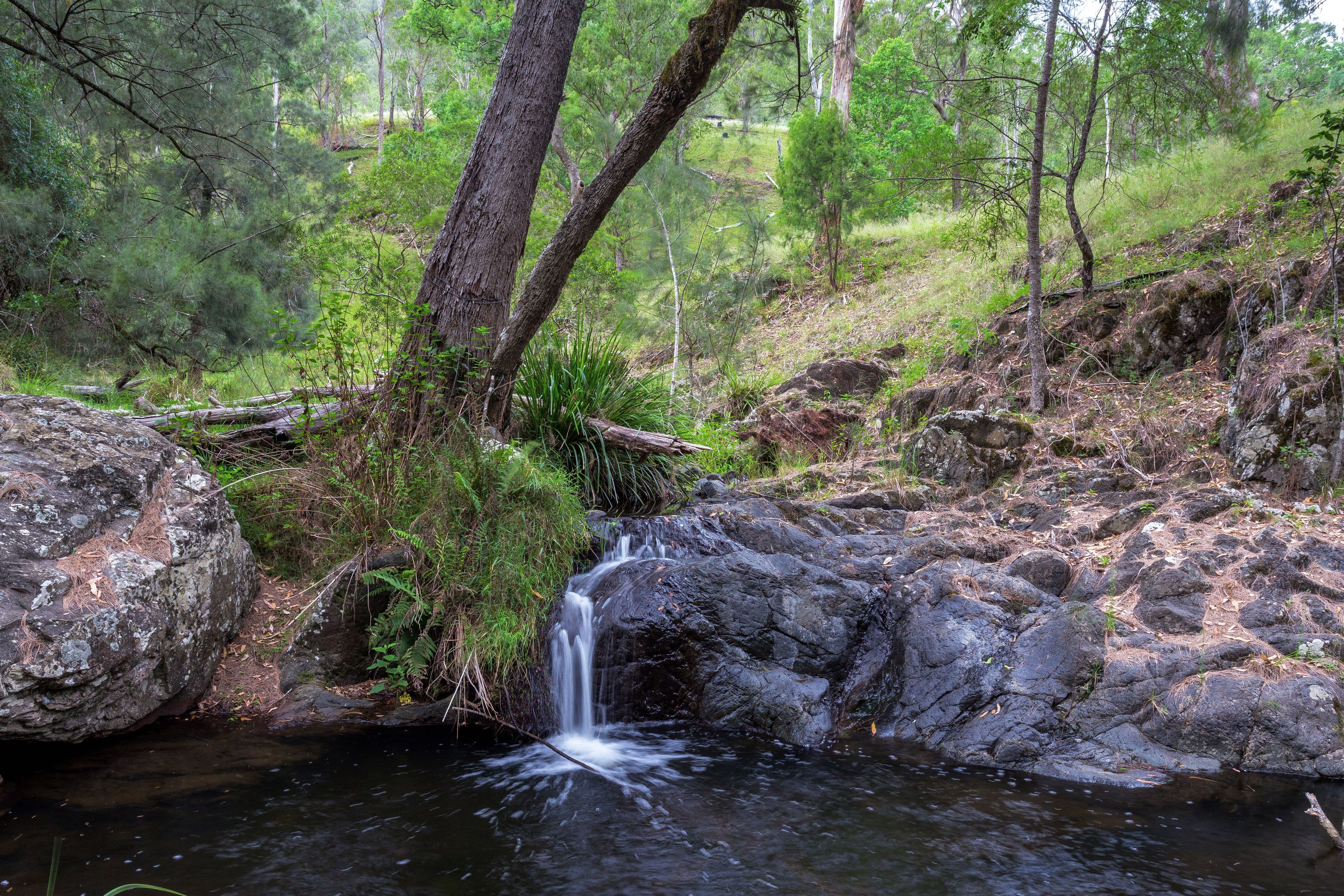 188 Enfield Range Road, Cooplacurripa NSW 2424, Cooplacurripa - Thumbnail 3