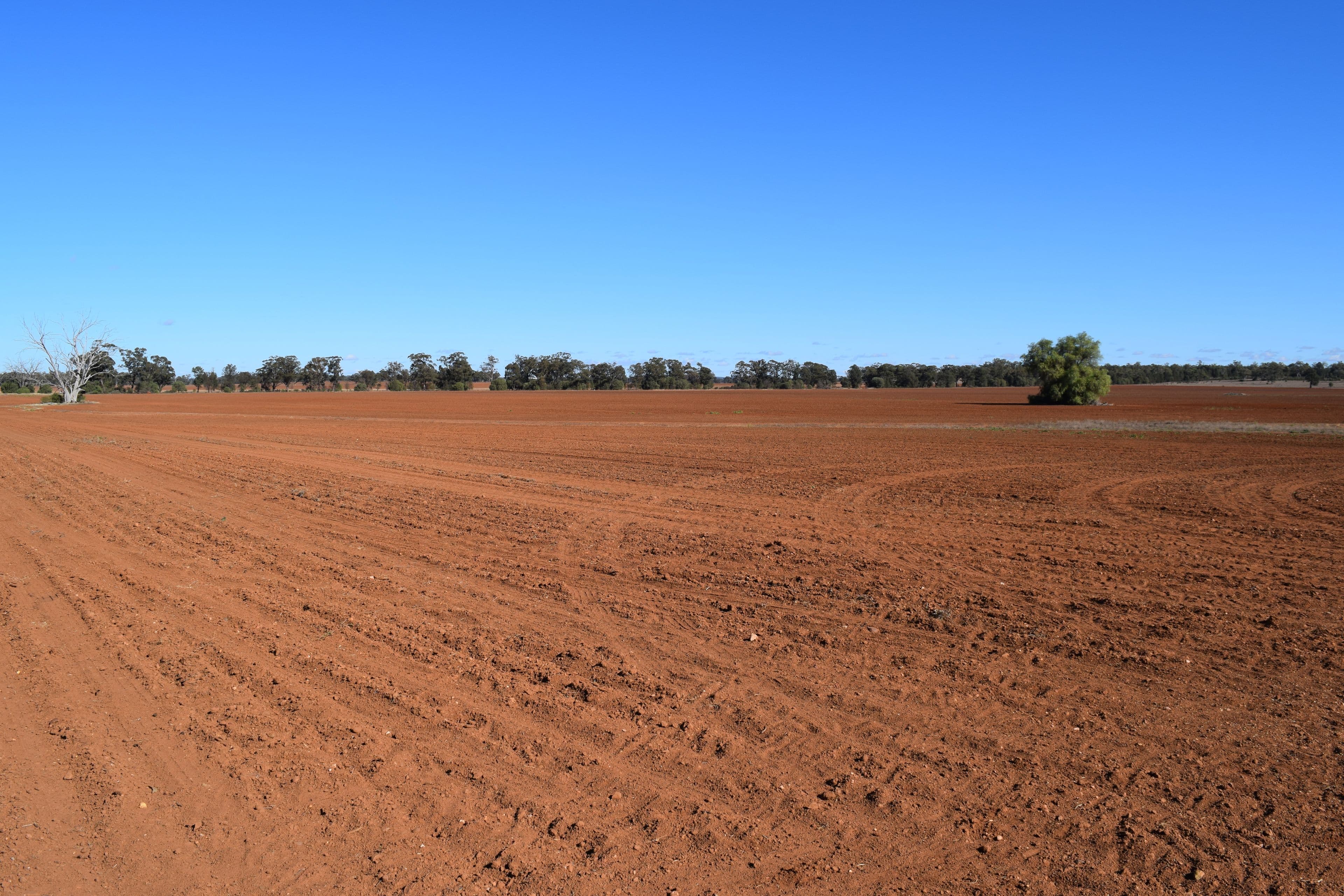 Rosehill and Windella, PEAK HILL NSW 2869, Peak Hill - Thumbnail 6