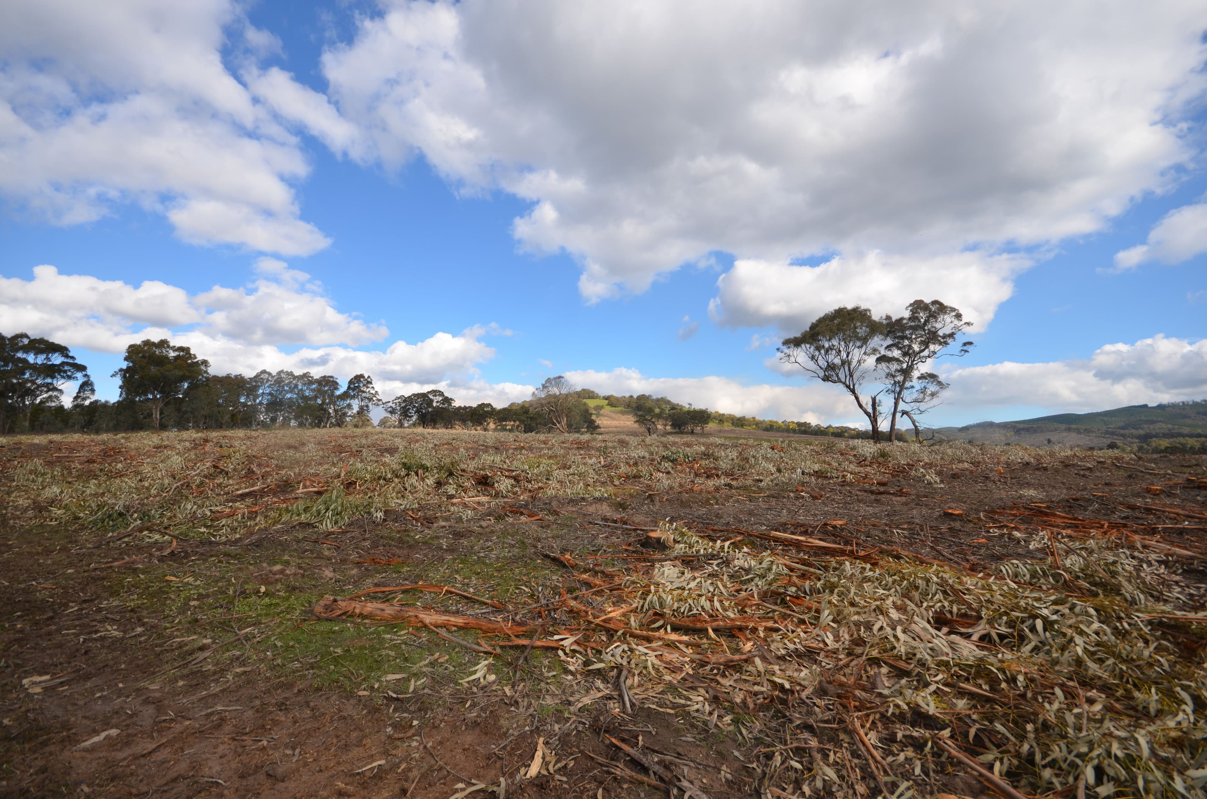Lot 1 "Cocking C" Mount Lonarch Road, Mount Lonarch VIC 3468, Mount Lonarch - Thumbnail 8