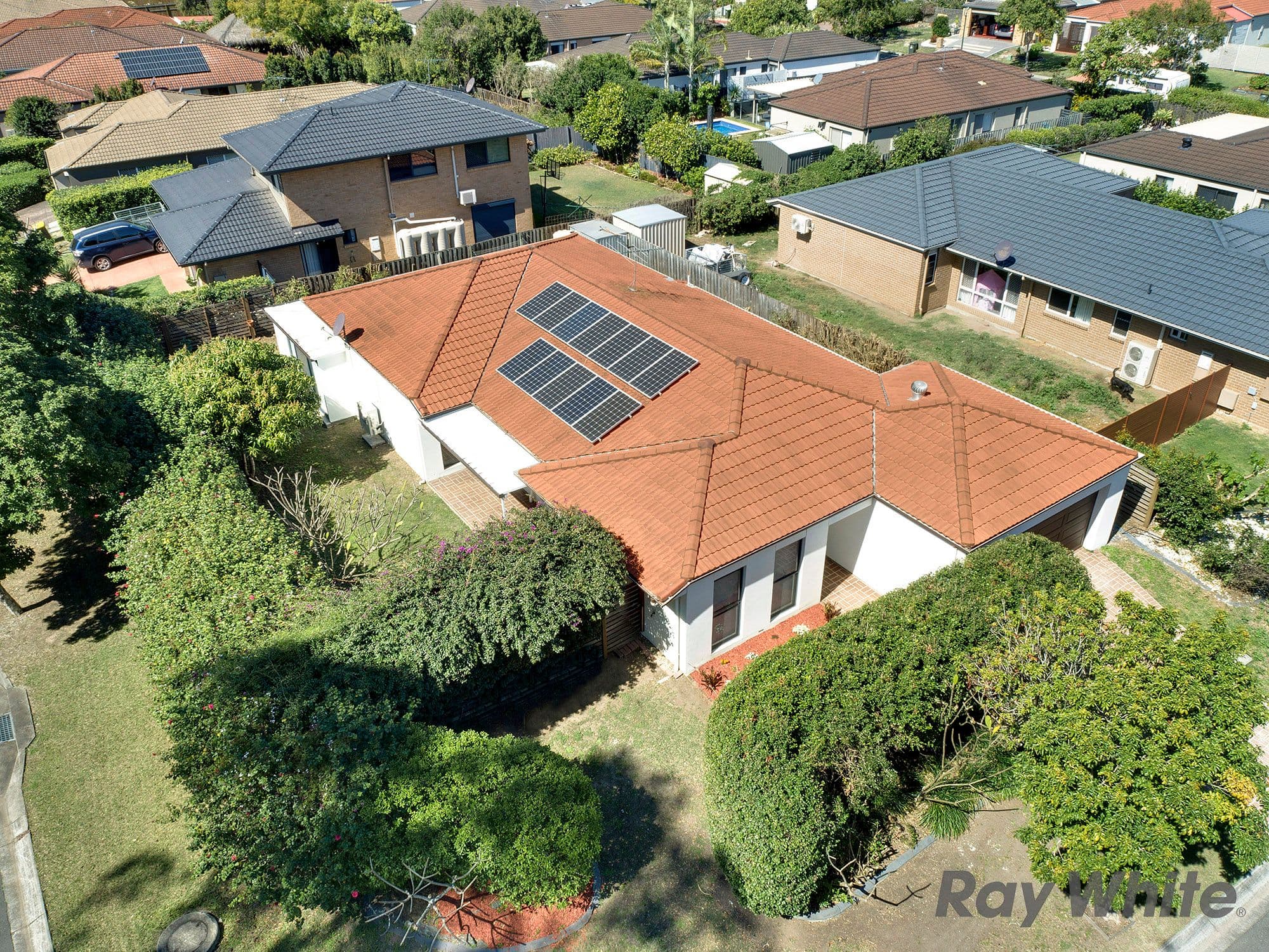 43 Macaranga Crescent, Carseldine QLD 4034, Carseldine - Image 1