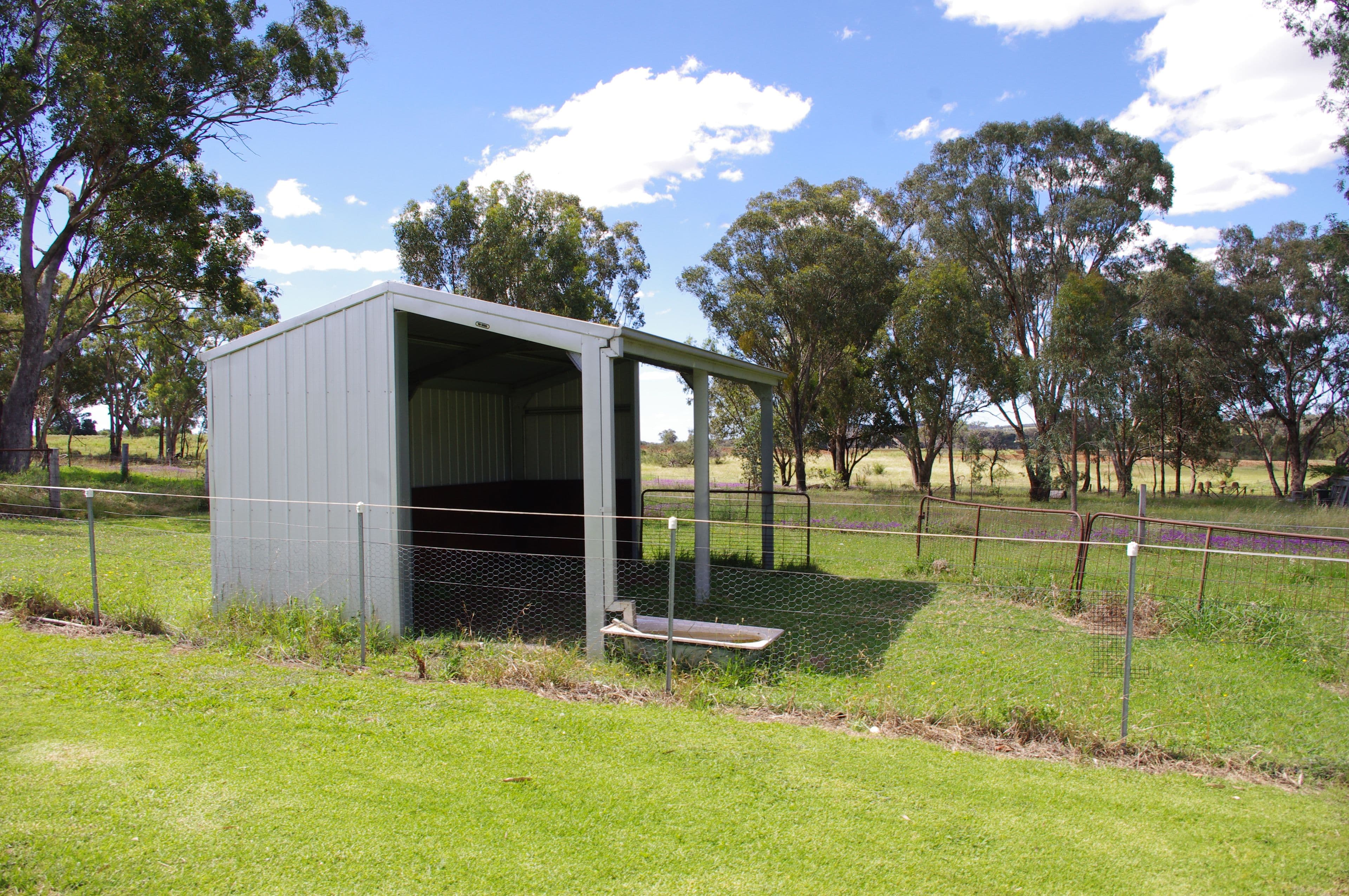 Inverell NSW 2360, Inverell - Thumbnail 5