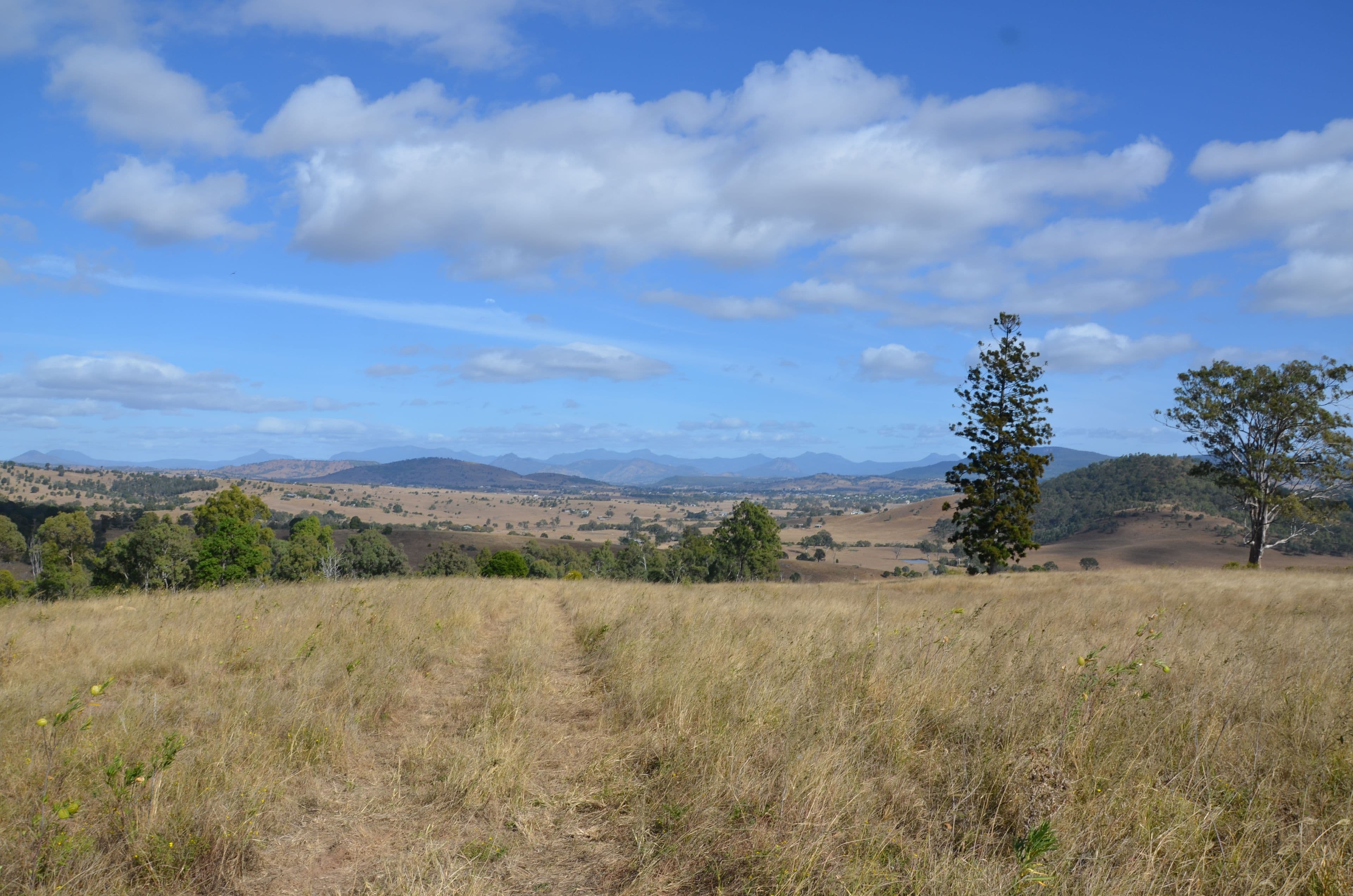 0 Dunn Road, Allandale QLD 4310, Allandale - Thumbnail 2